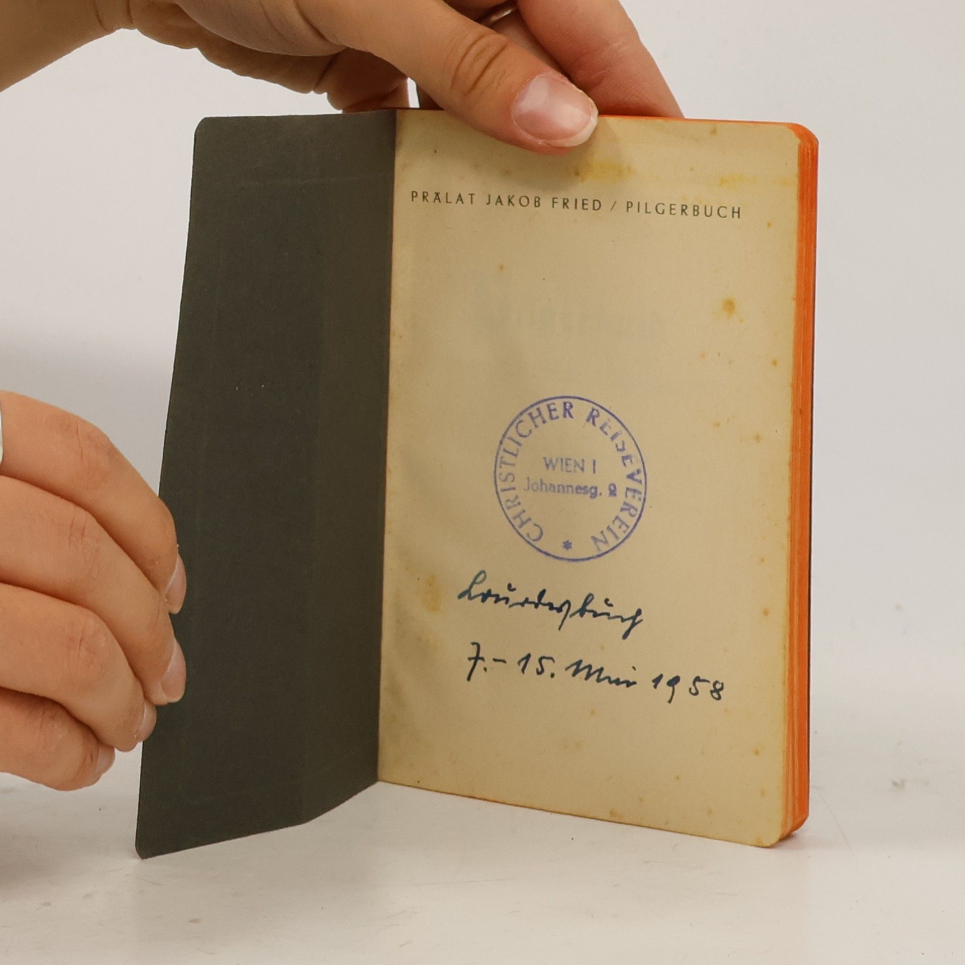 Autorenkollektiv Pilgerbuch des Deutschen Lourdes-Vereins