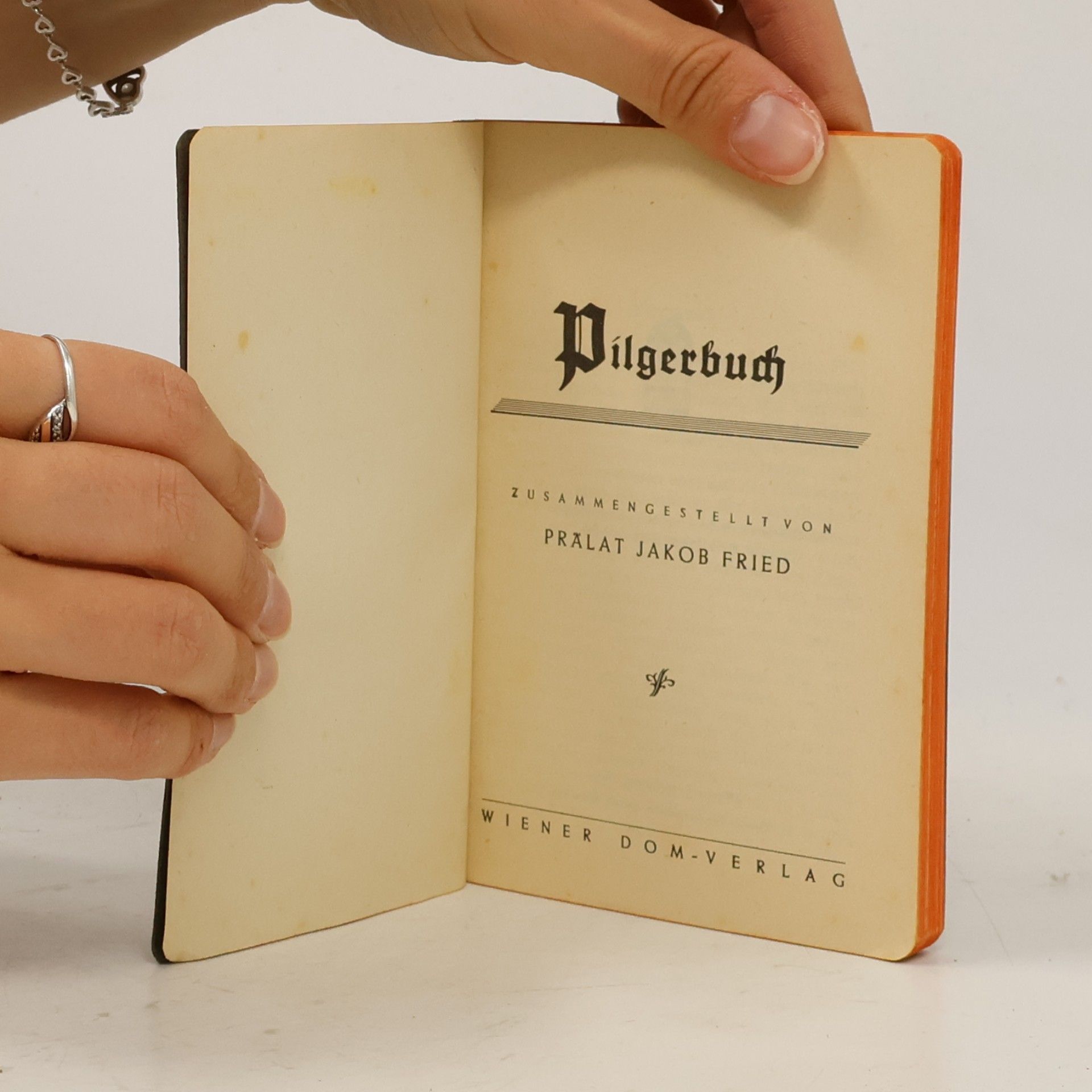 Autorenkollektiv Pilgerbuch des Deutschen Lourdes-Vereins