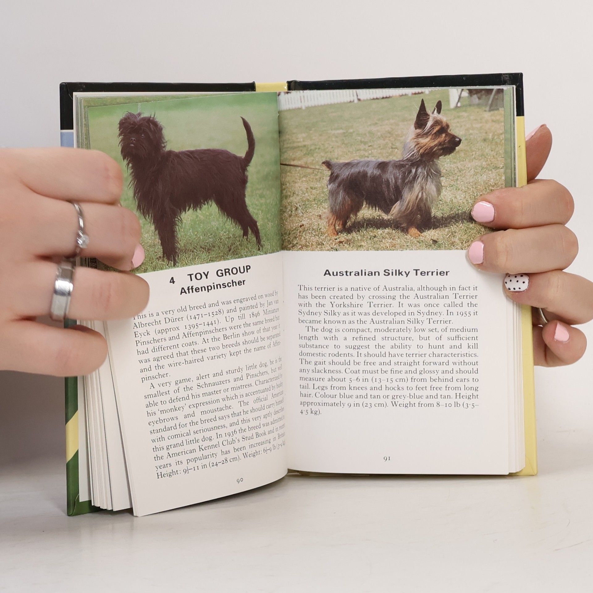 Sonia Marion Lampson The Observer's Book of Dogs