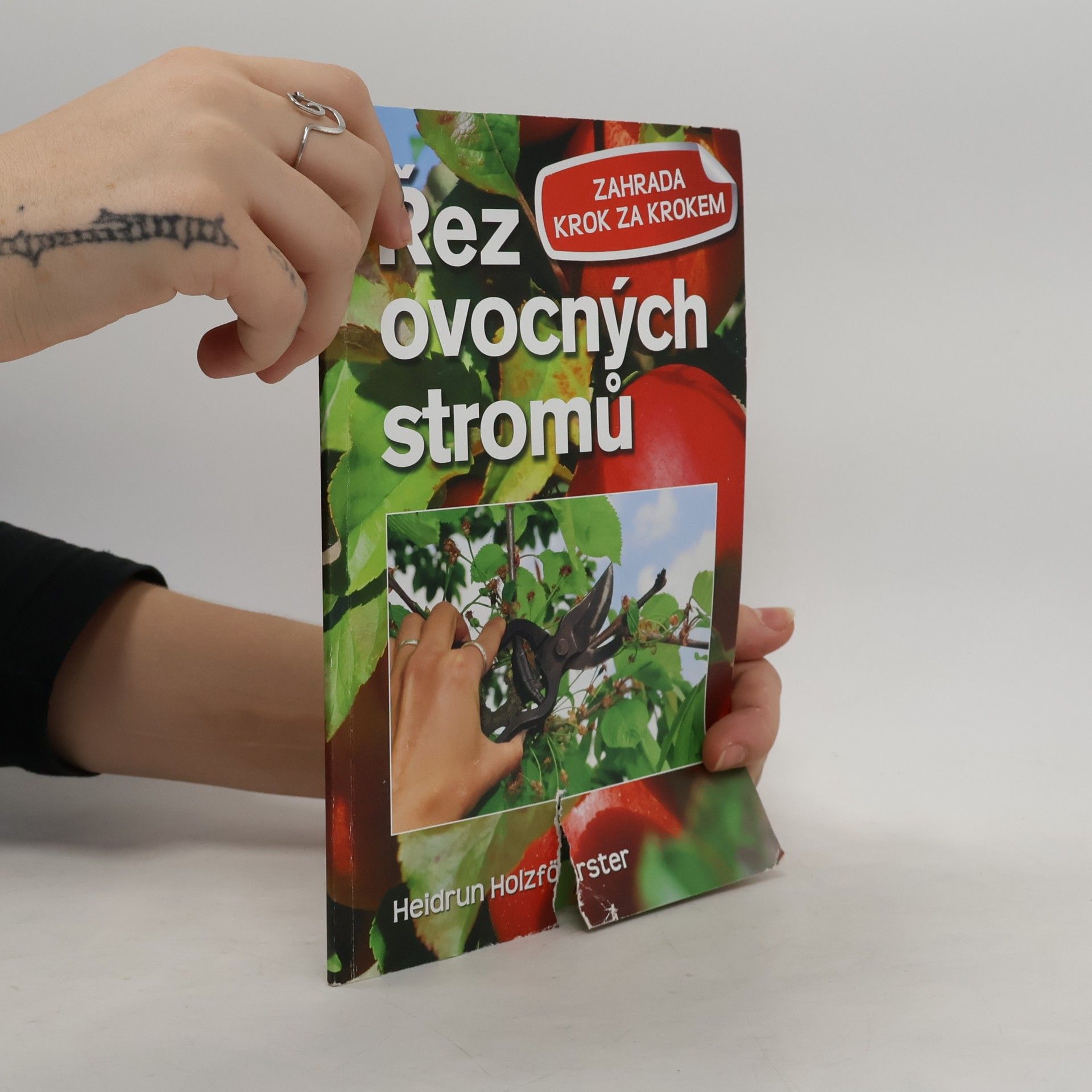 Heidrun Holzförster Řez ovocných stromů