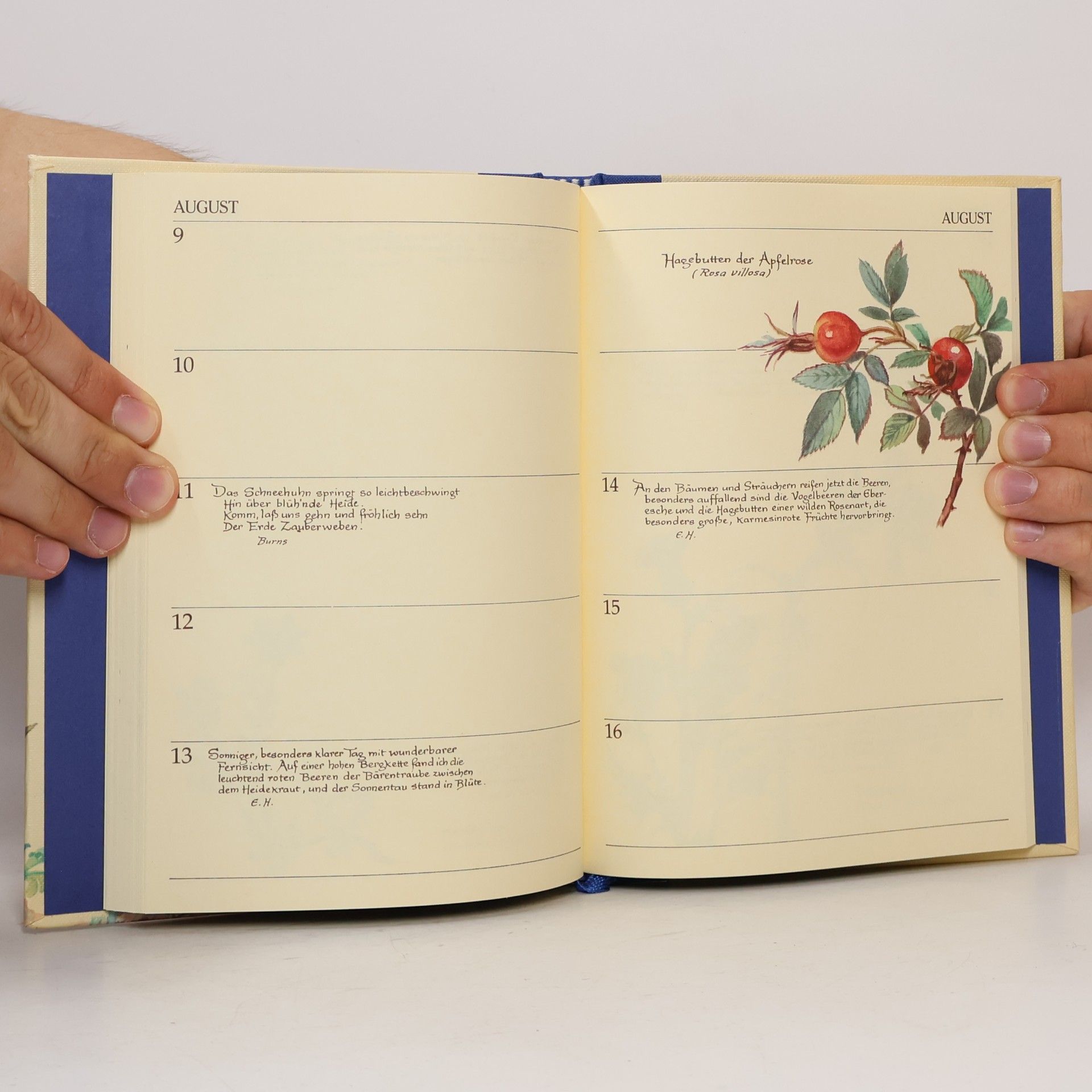 Edith Holden Geburtstags Buch Vom Glück mit der Natur zu leben