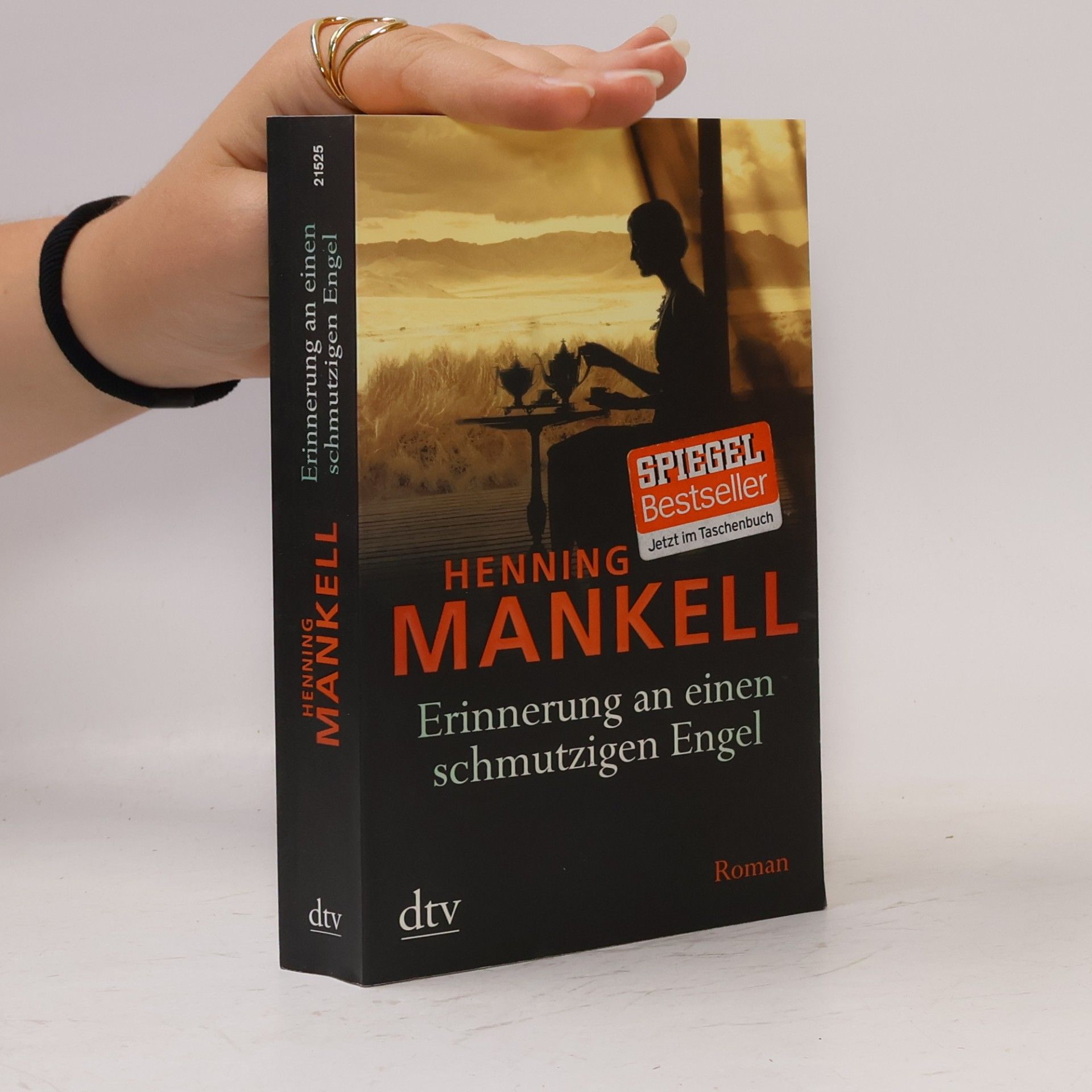 Henning Mankell Erinnerung an einen schmutzigen Engel