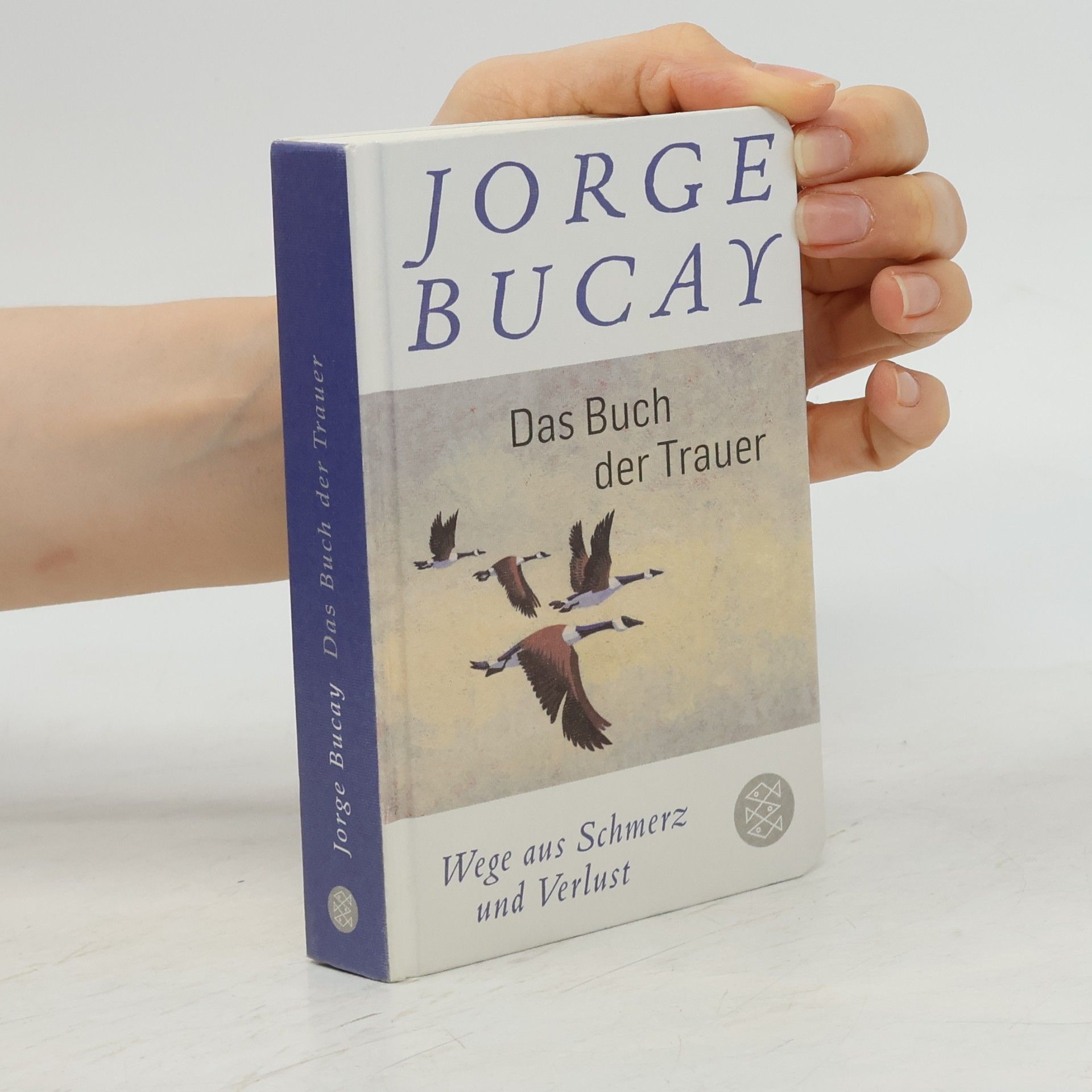 Jorge Bucay Das Buch der Trauer