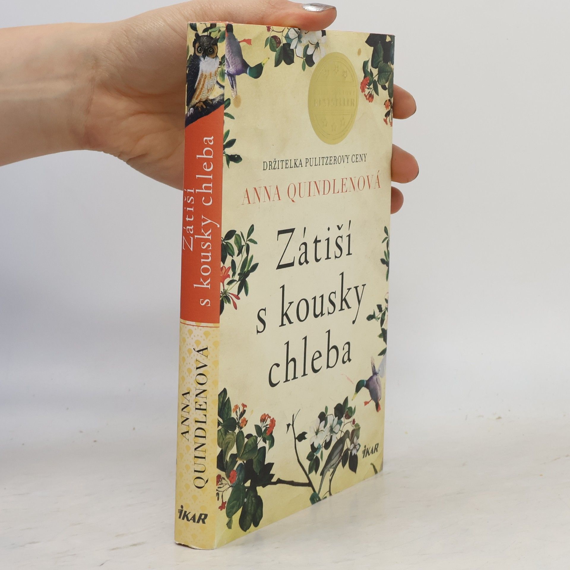 Anna Quindlen Zátiší s kousky chleba
