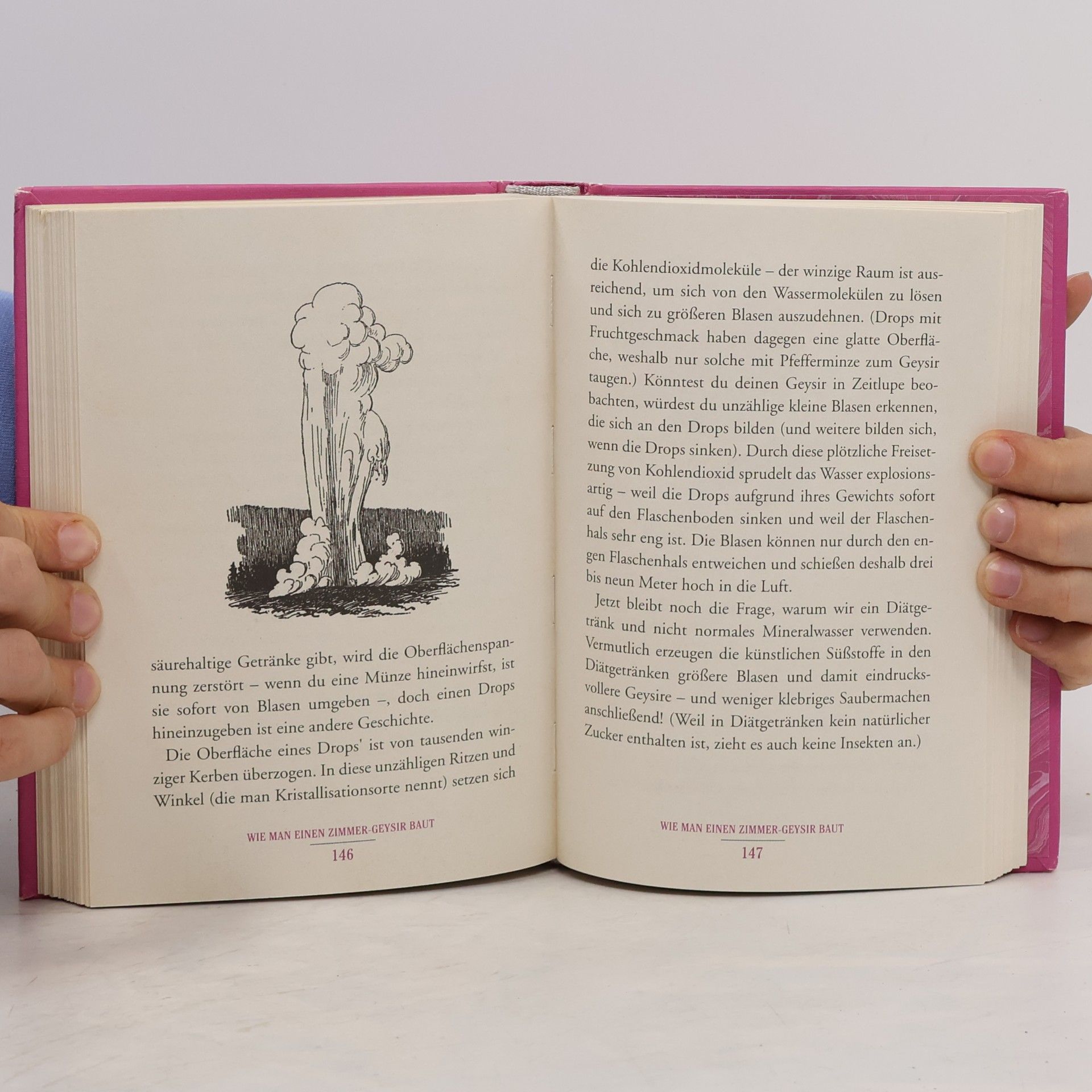 Andrea J. Buchanan Das kleine secret book for girls