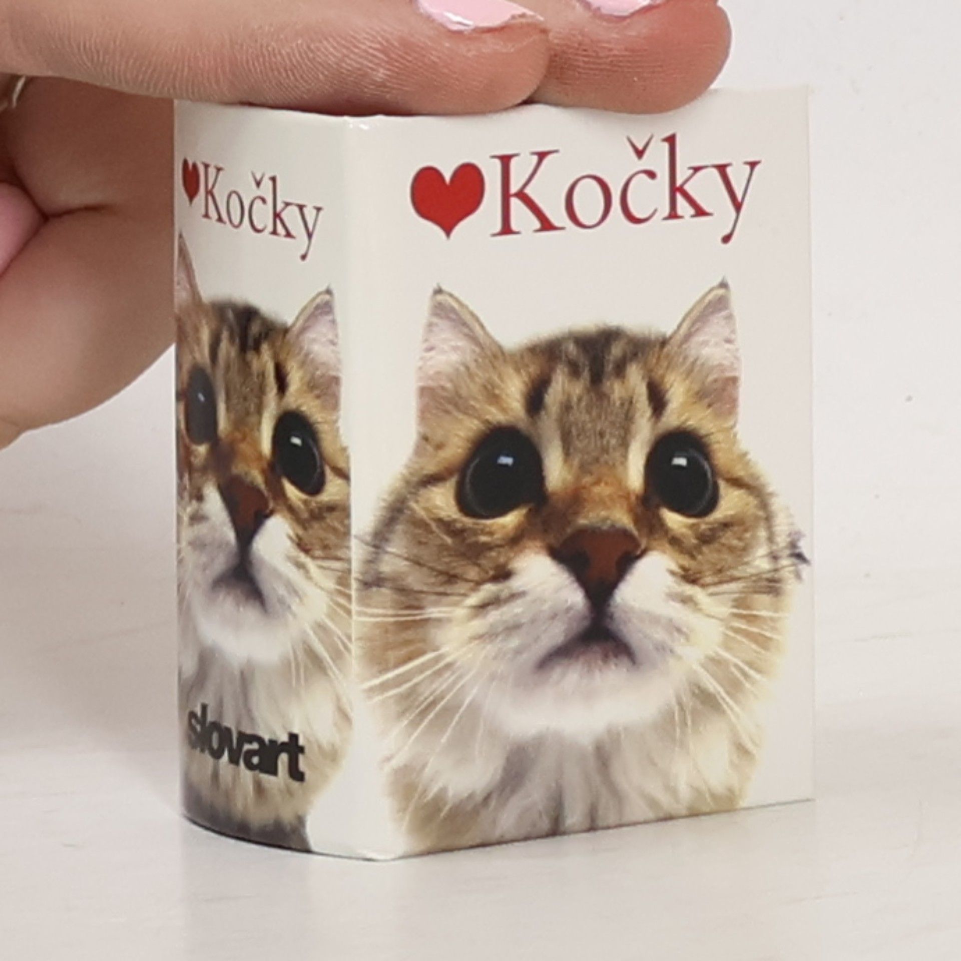 Kočky
