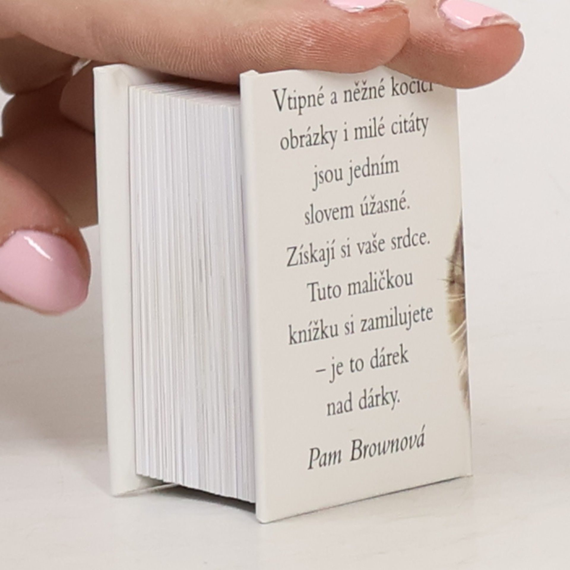 Pam Brown Kočky