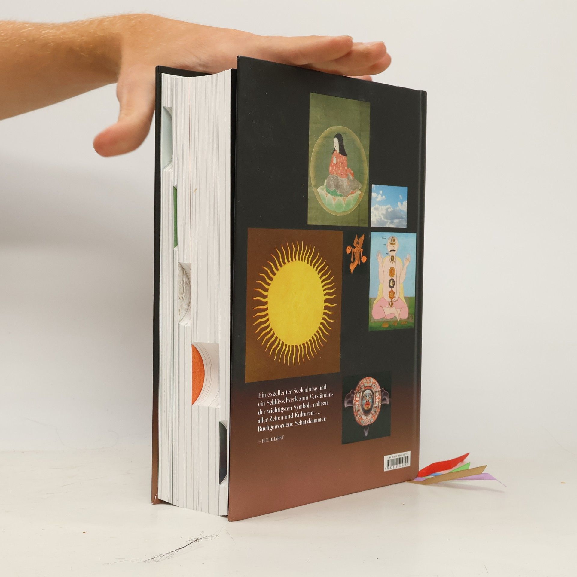 Ami Ronnberg Das Buch der Symbole