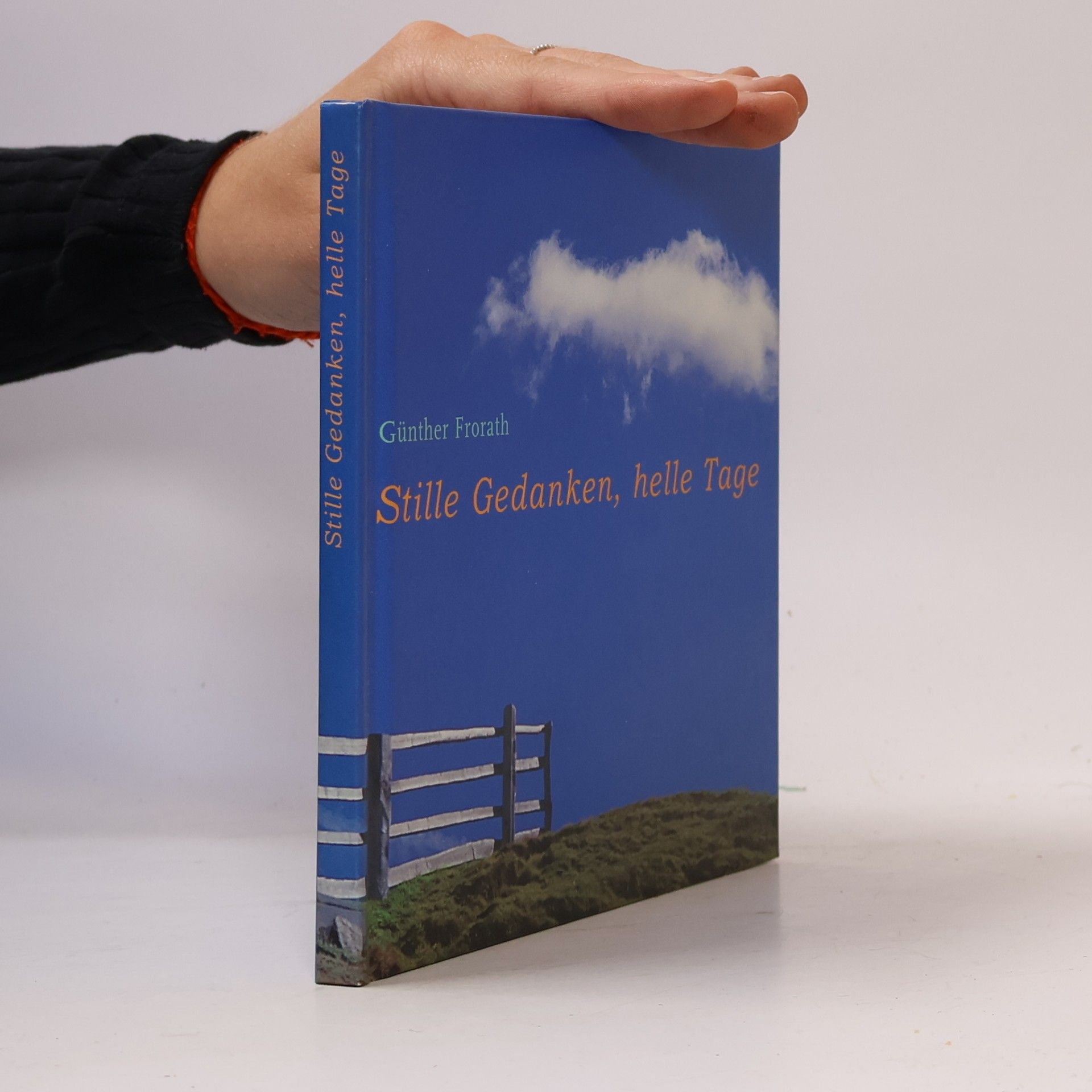Günther Frorath Stille Gedanken, helle Tage