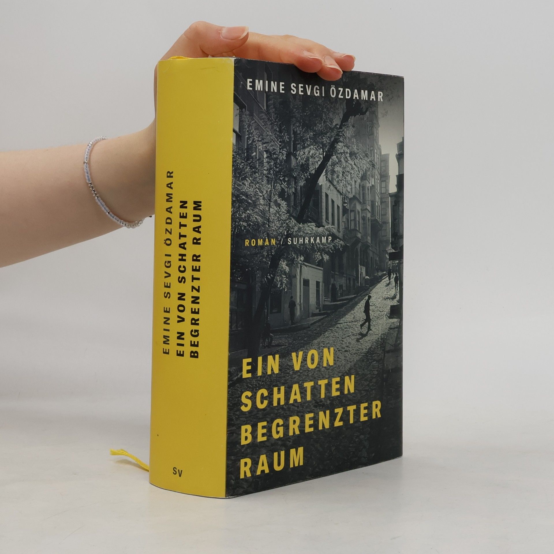 Emine Sevgi Özdamar Ein von Schatten begrenzter Raum