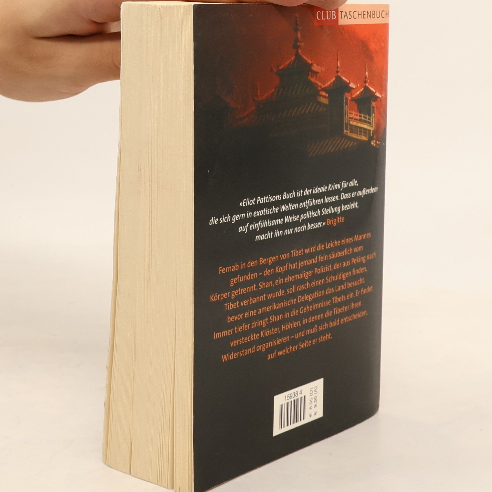 Eliot Pattison Der fremde Tibeter