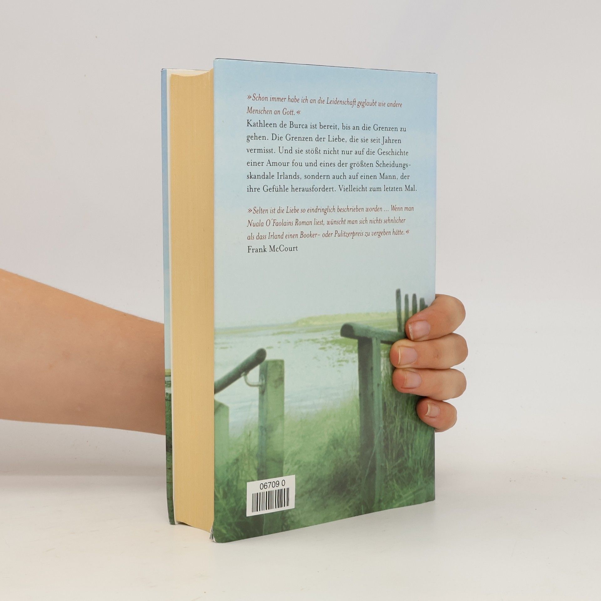 Nuala O. Faolain Ein alter Traum von Liebe