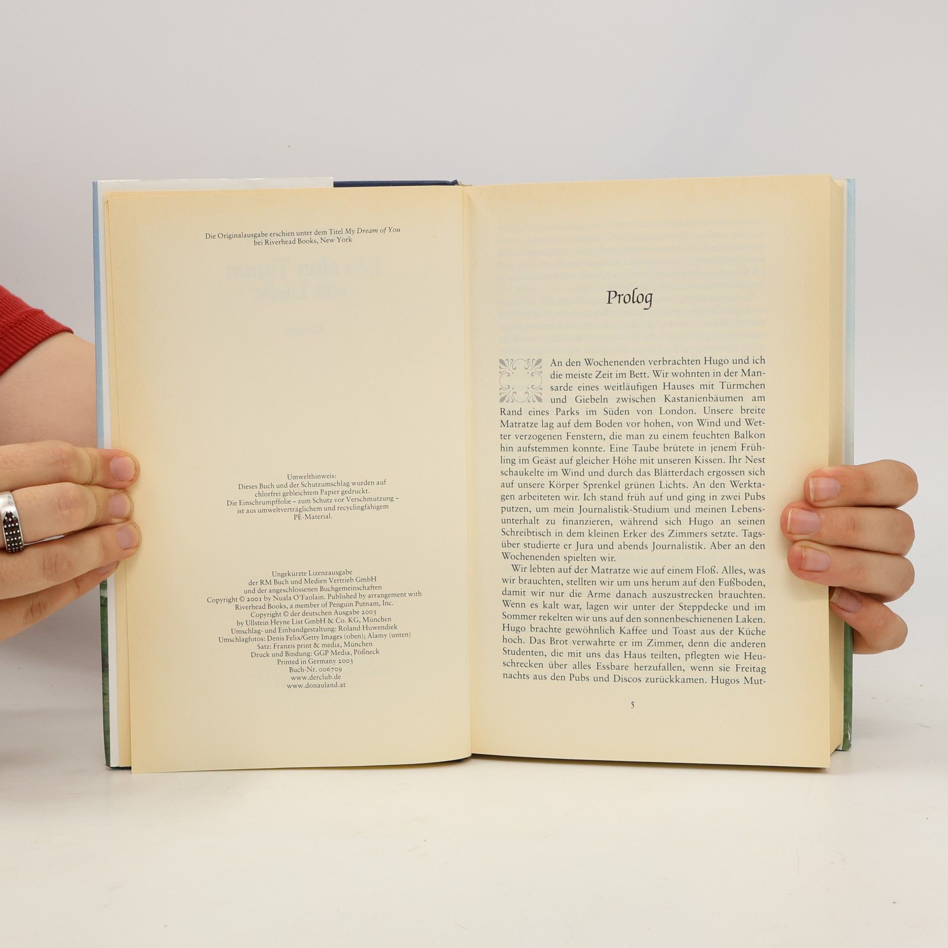Nuala O. Faolain Ein alter Traum von Liebe