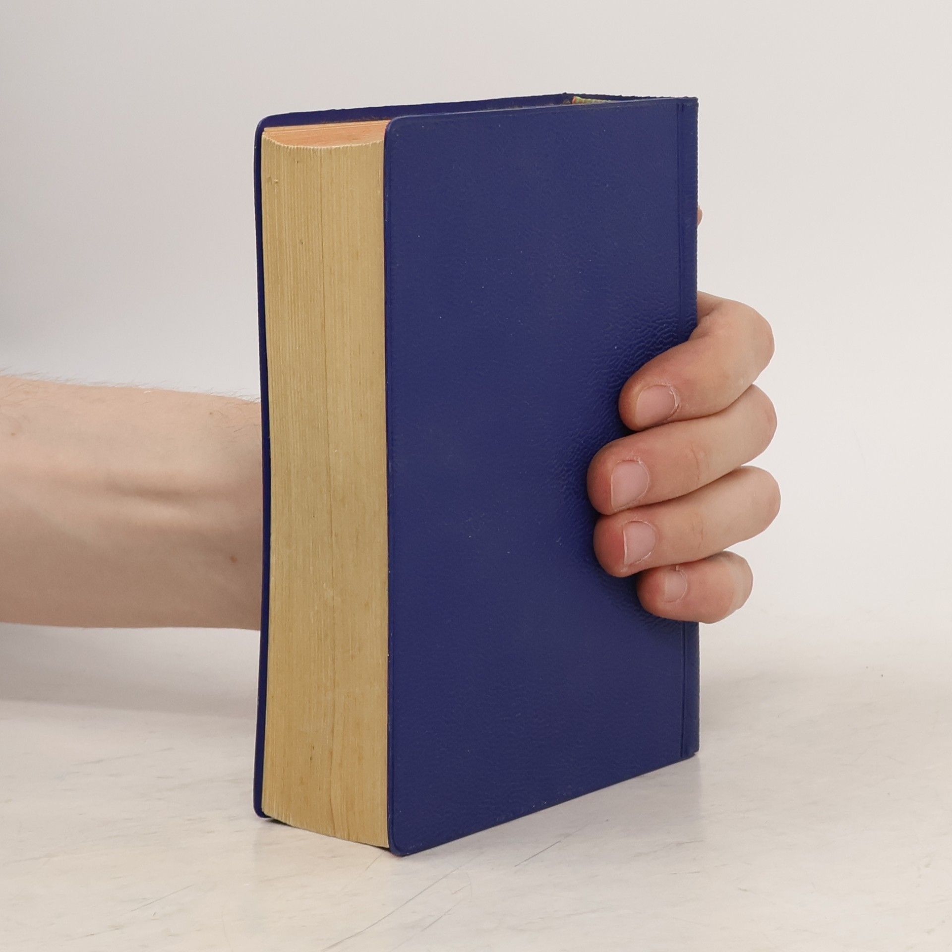 Autorenkollektiv Langescheidts Universal-Wörterbuch