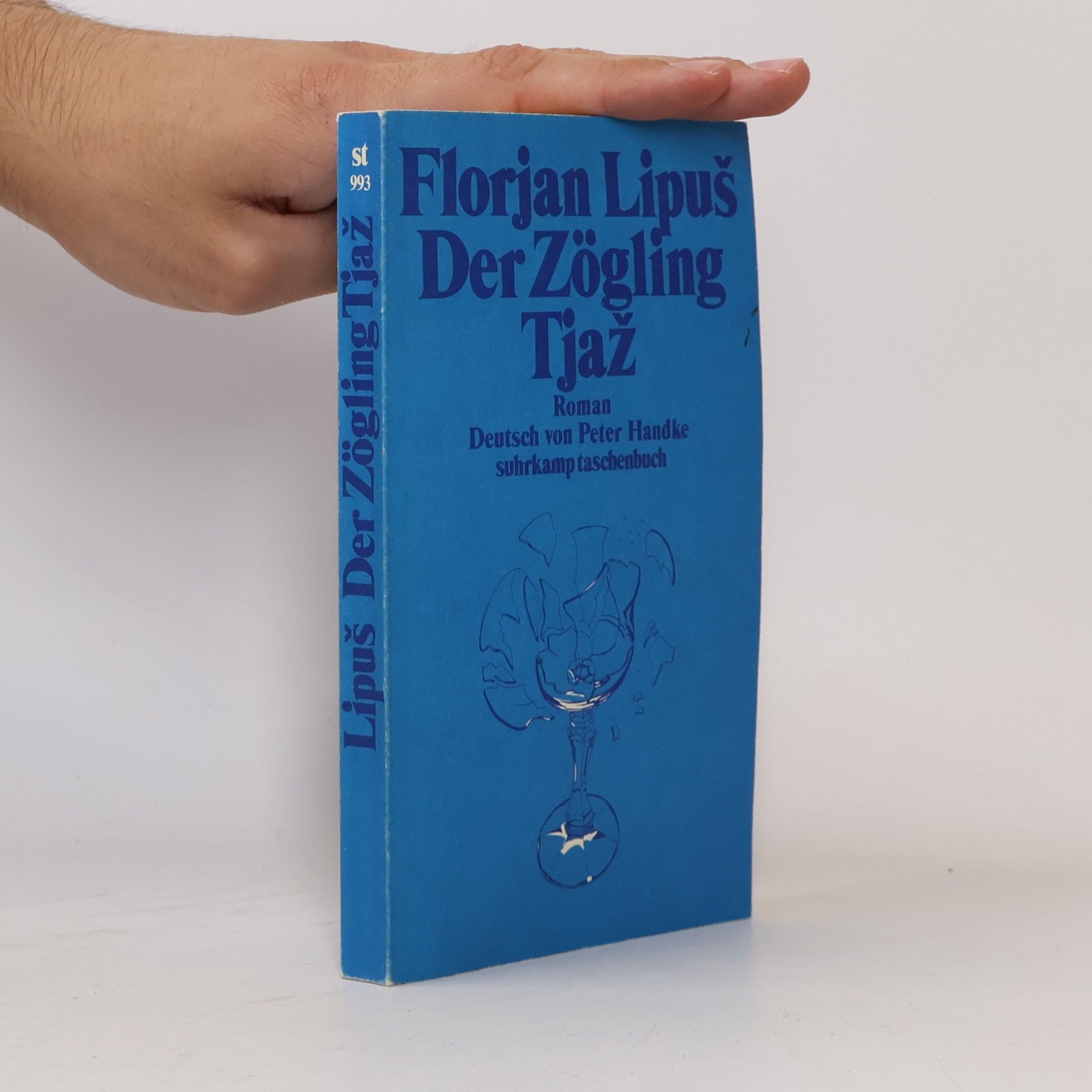 Florjan Lipuš Suhrkamp Taschenbuch - 993: Der Zögling Tjaž