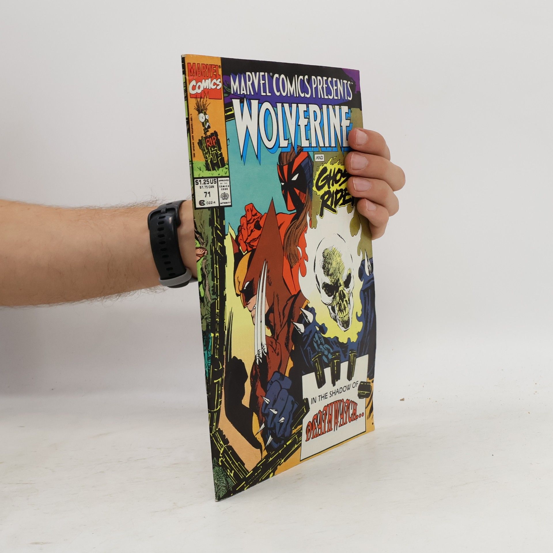 Kolektív autorov Marvel Comics 71. Wolverine and Ghost Rider