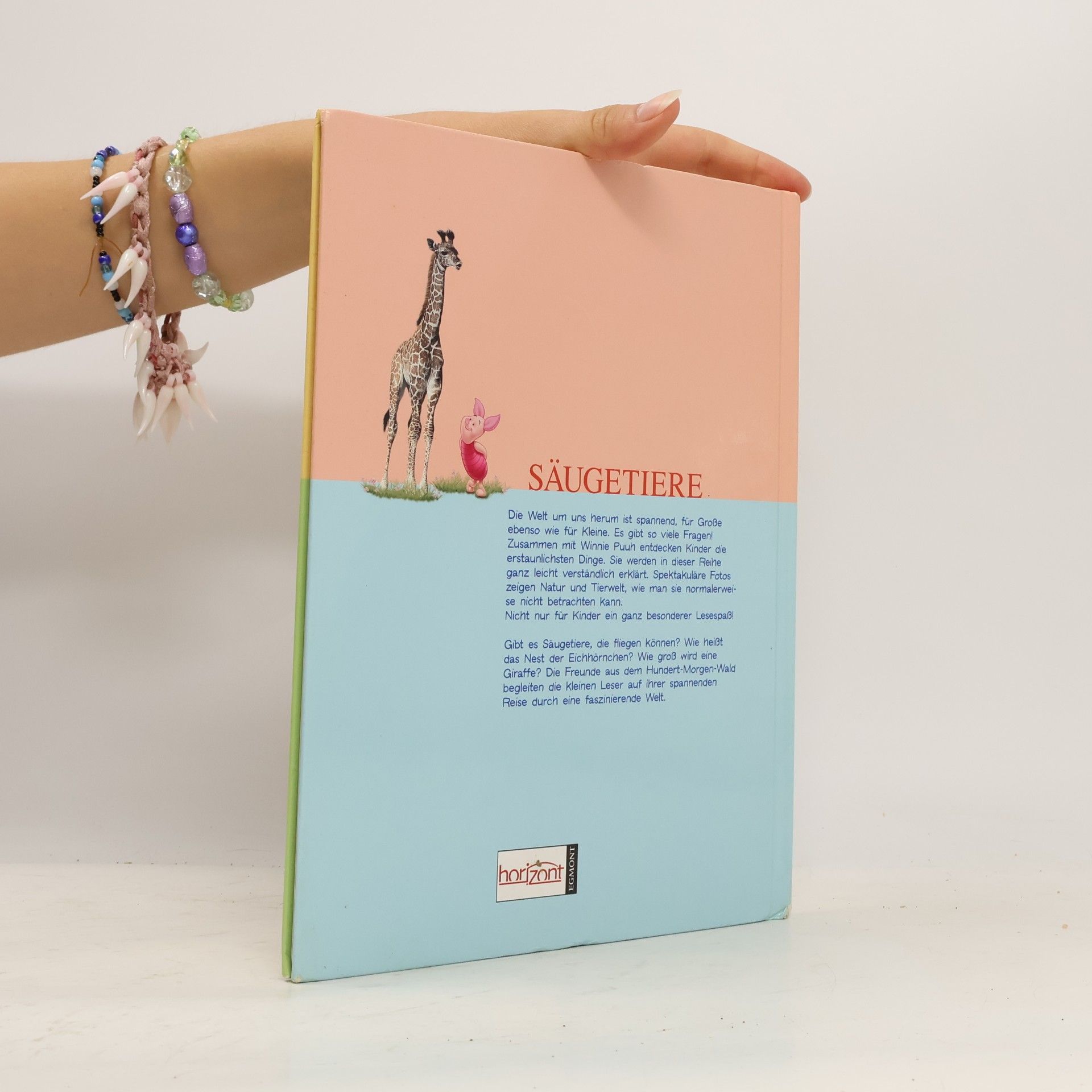 Autorenkollektiv Mein erstes Buch. Der Säugetiere mit Winnie Puuh und seinen Freunden