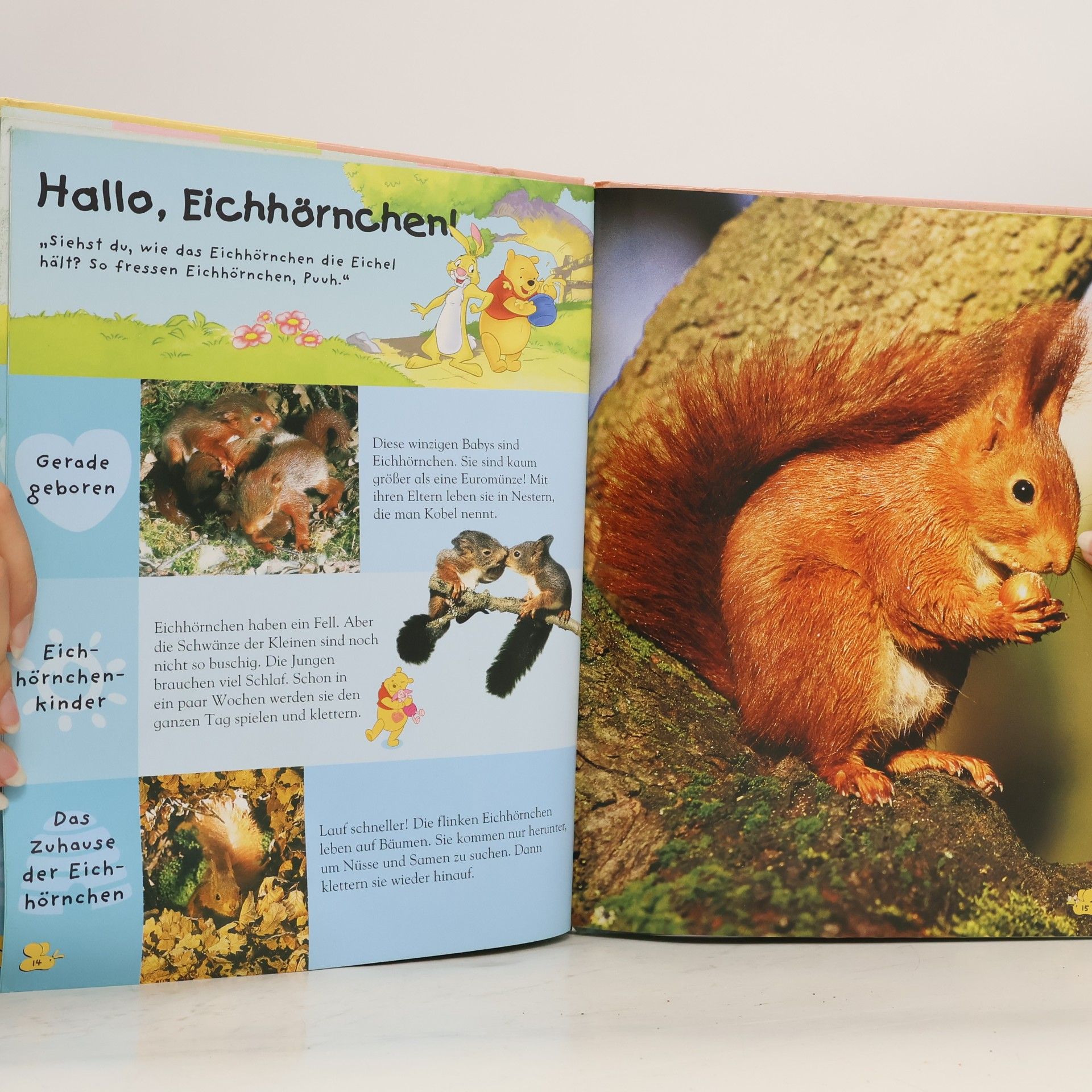 Autorenkollektiv Mein erstes Buch. Der Säugetiere mit Winnie Puuh und seinen Freunden