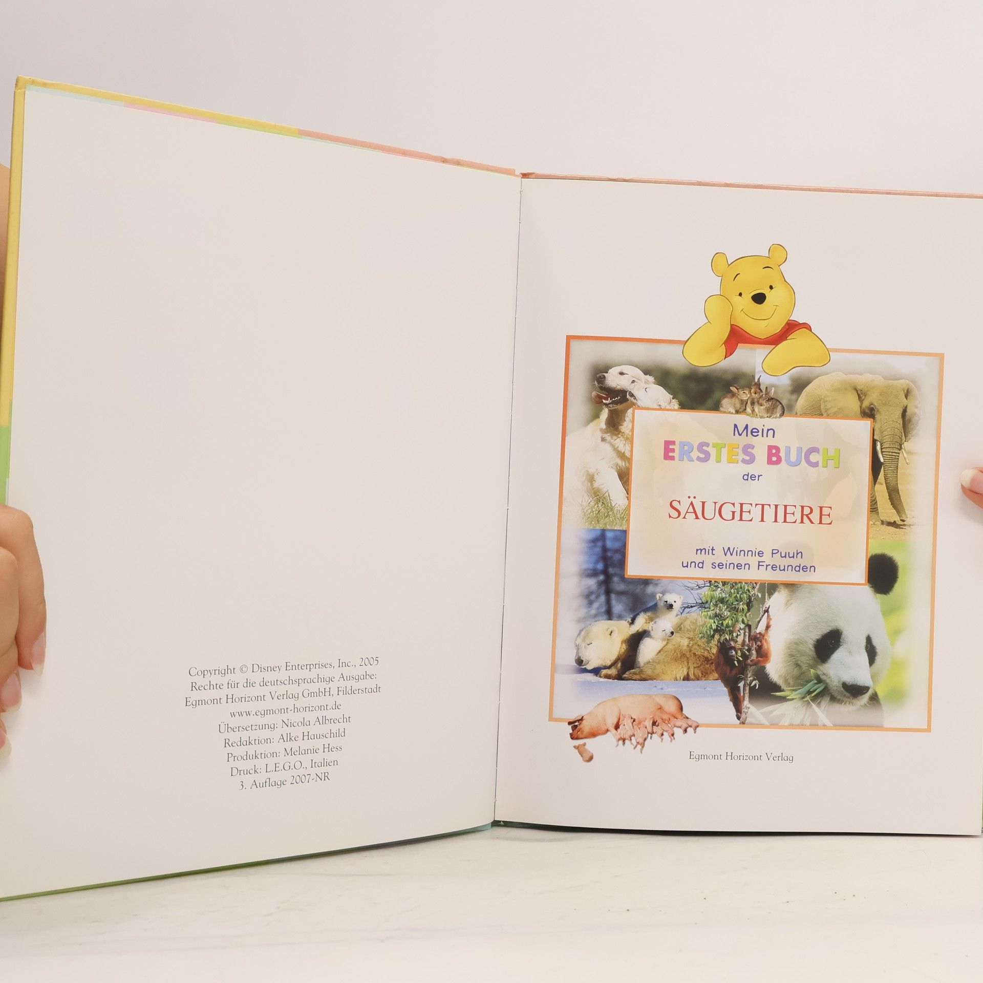 Autorenkollektiv Mein erstes Buch. Der Säugetiere mit Winnie Puuh und seinen Freunden