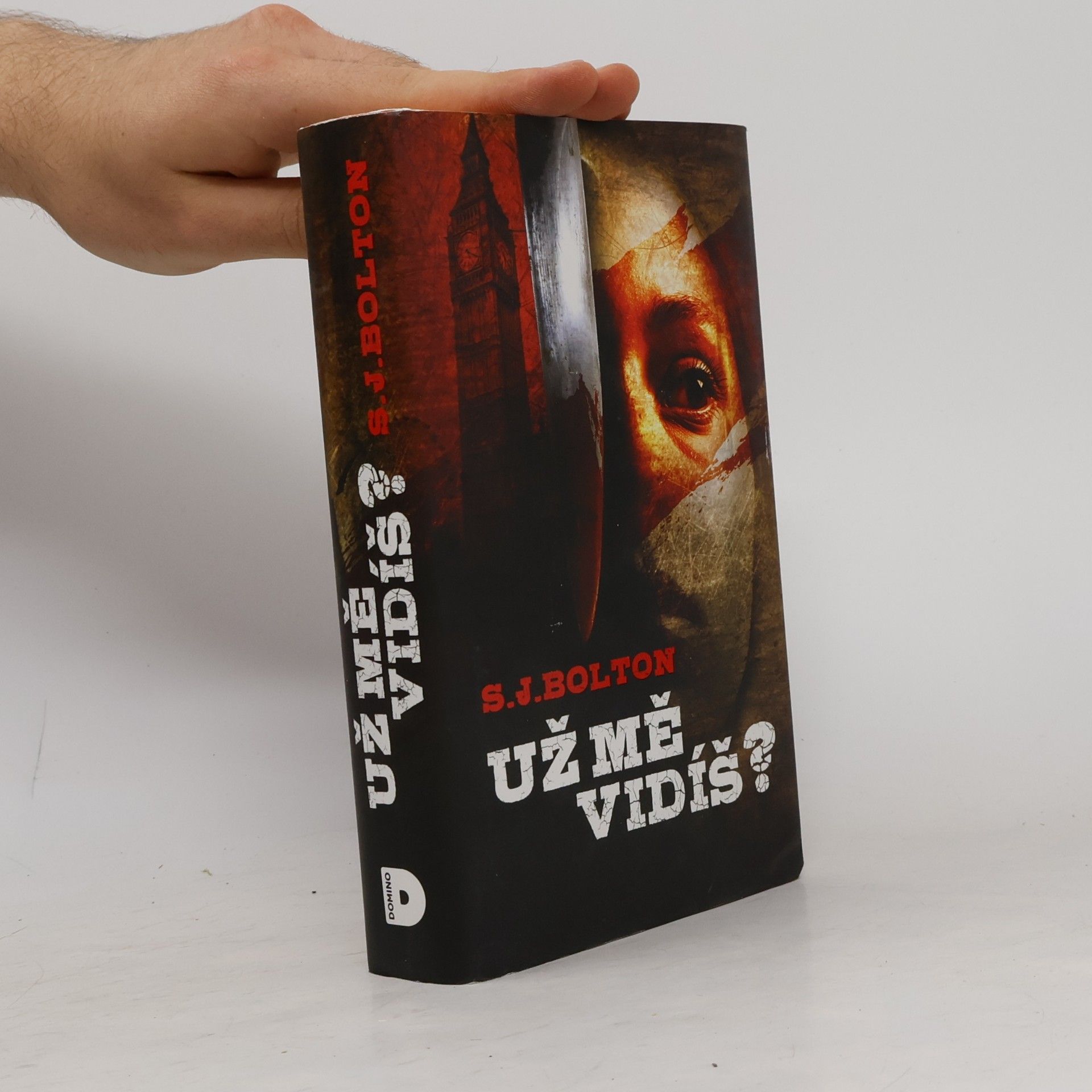 Sharon J. Bolton Už mě vidíš?