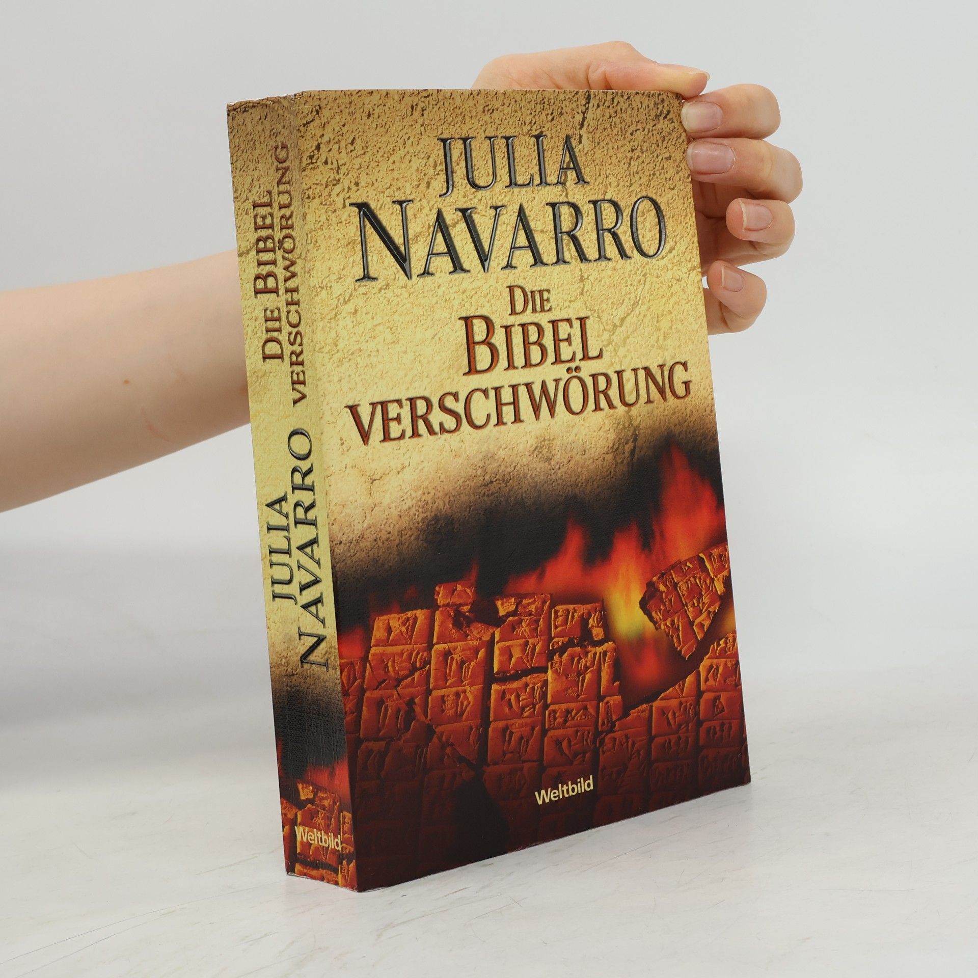 Julia Navarro Die Bibel-Verschwörung