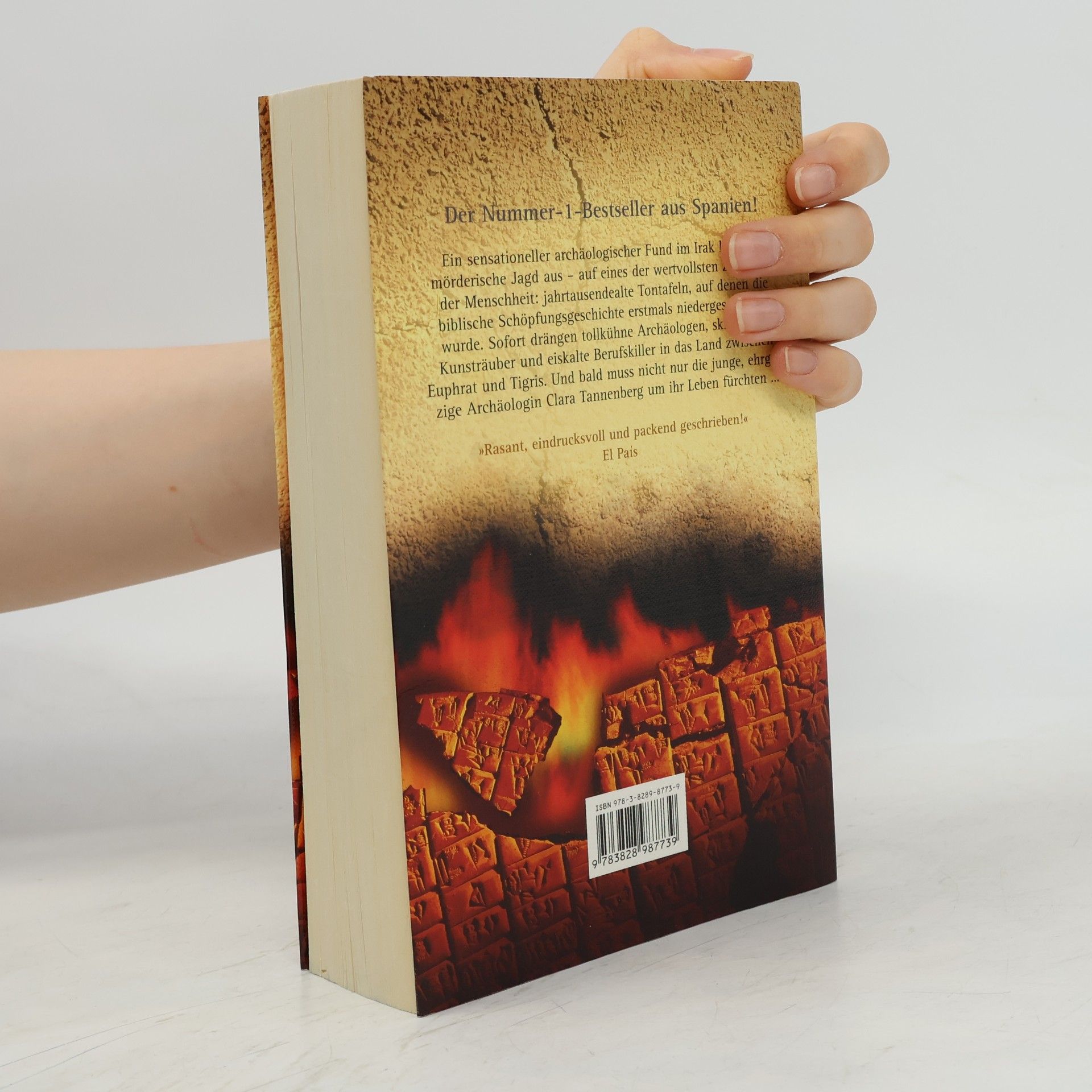Julia Navarro Die Bibel-Verschwörung