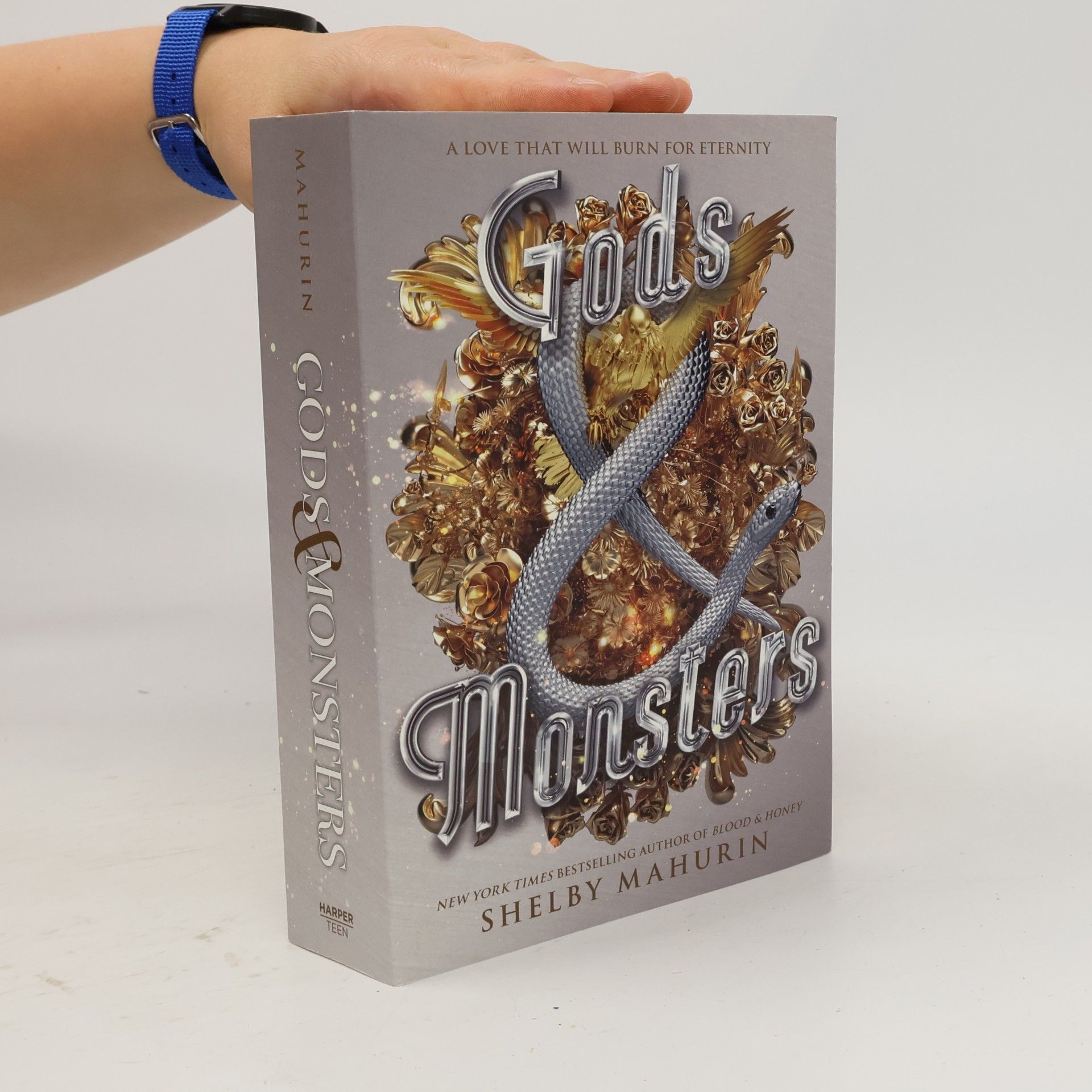 Shelby Mahurin Gods and Monsters
