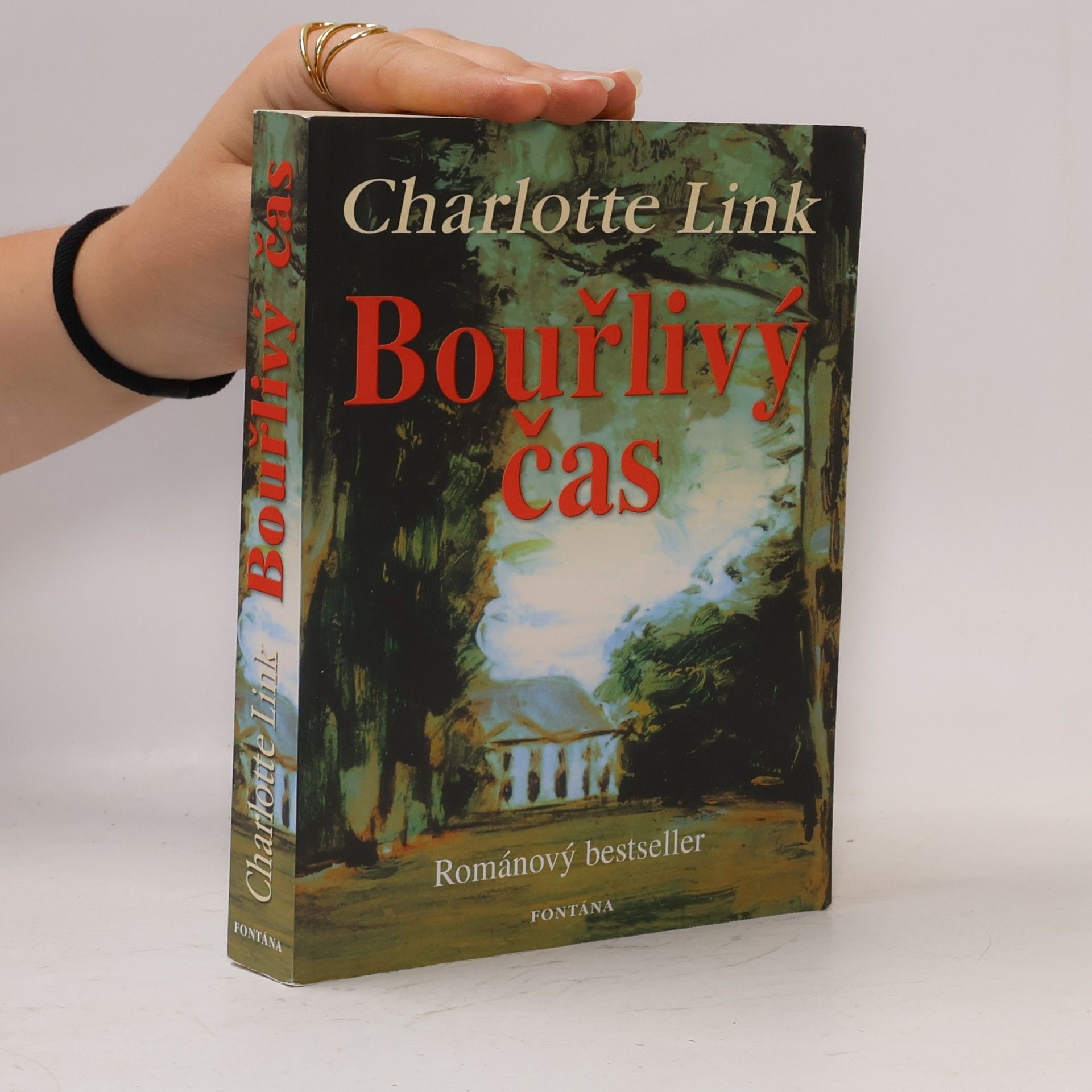 Charlotte Link Bouřlivý čas