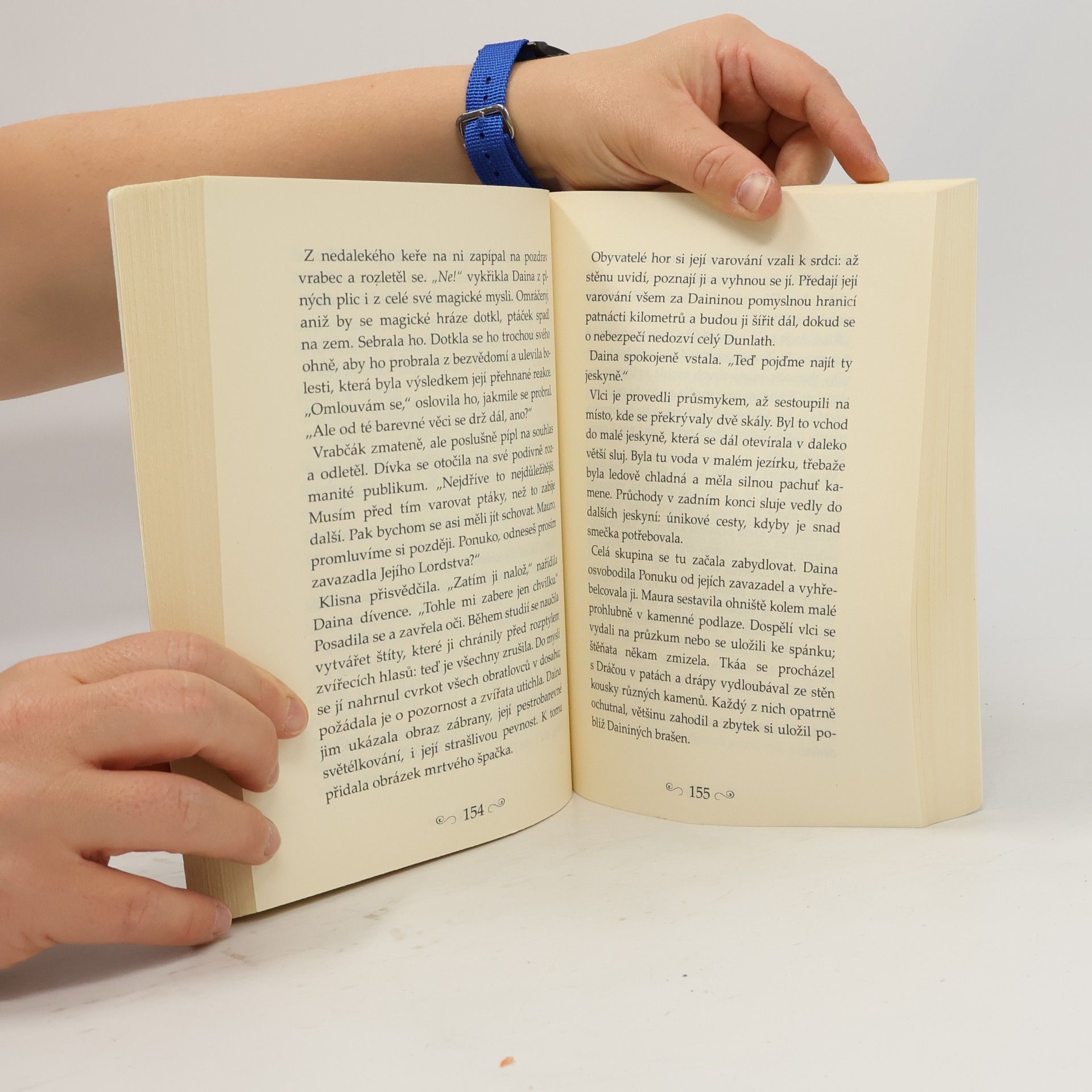 Tamora Pierce Nespoutaná magie. II., Strážkyně vlčí síly