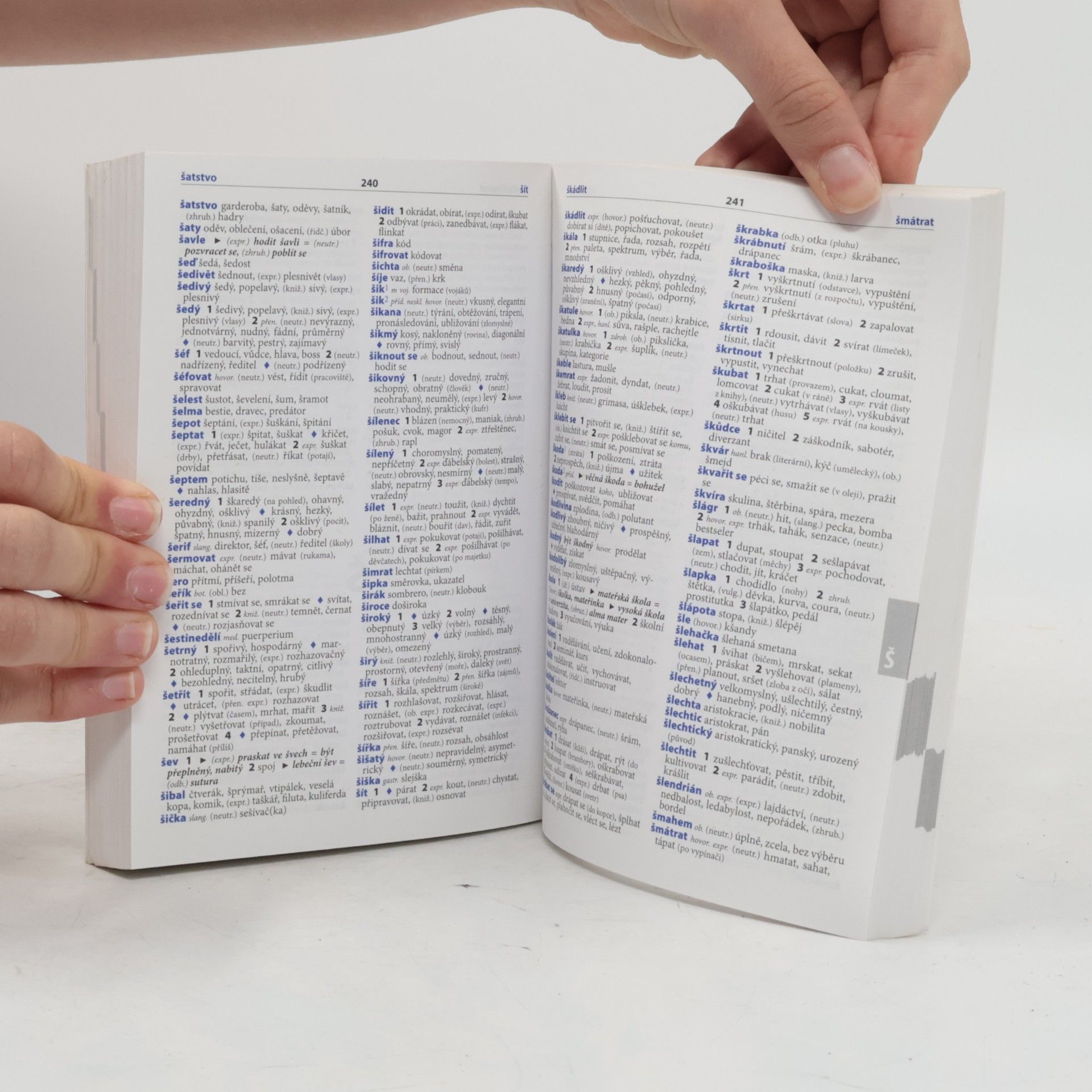 Various authors Školní slovník českých synonym