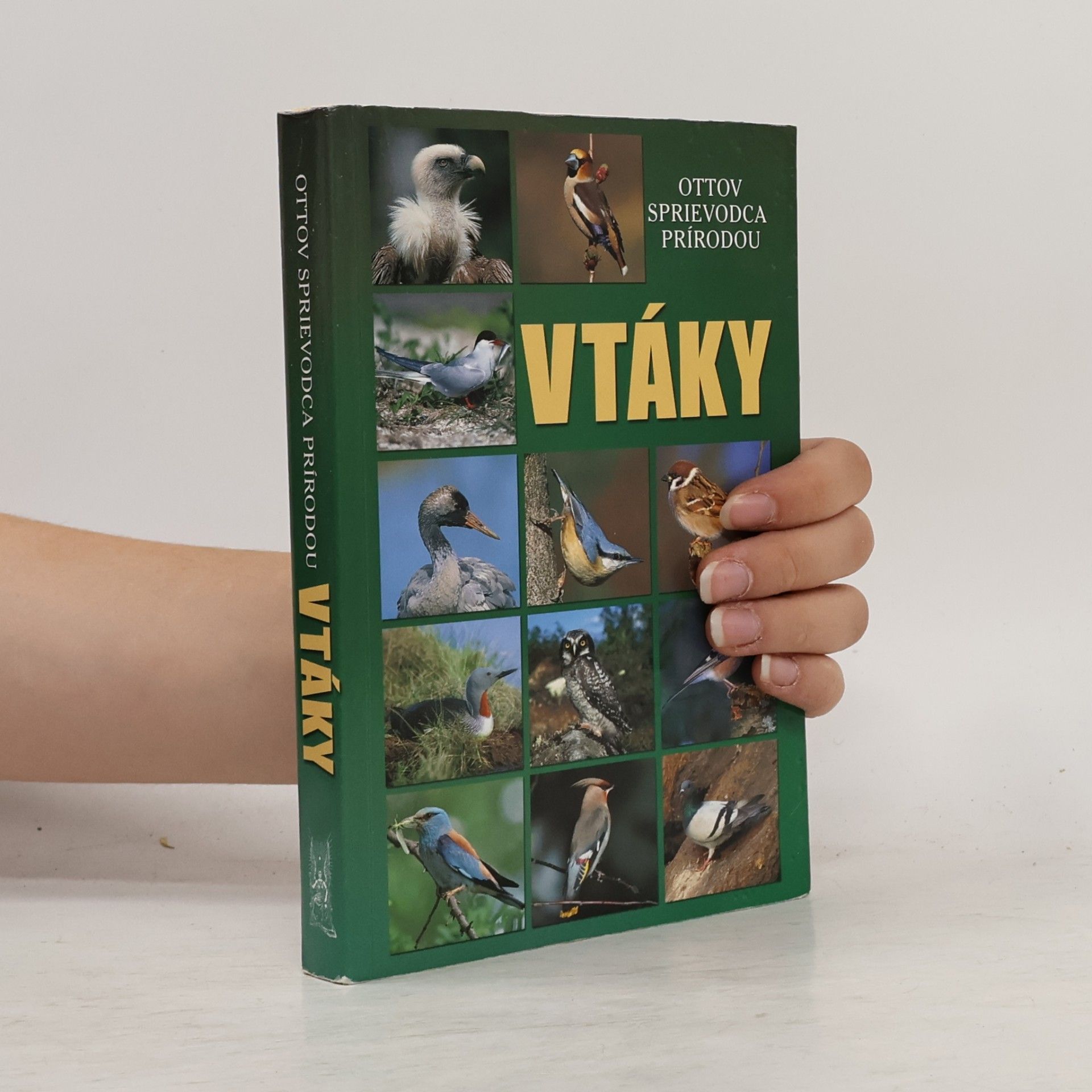 Detlef Singer Vtáky