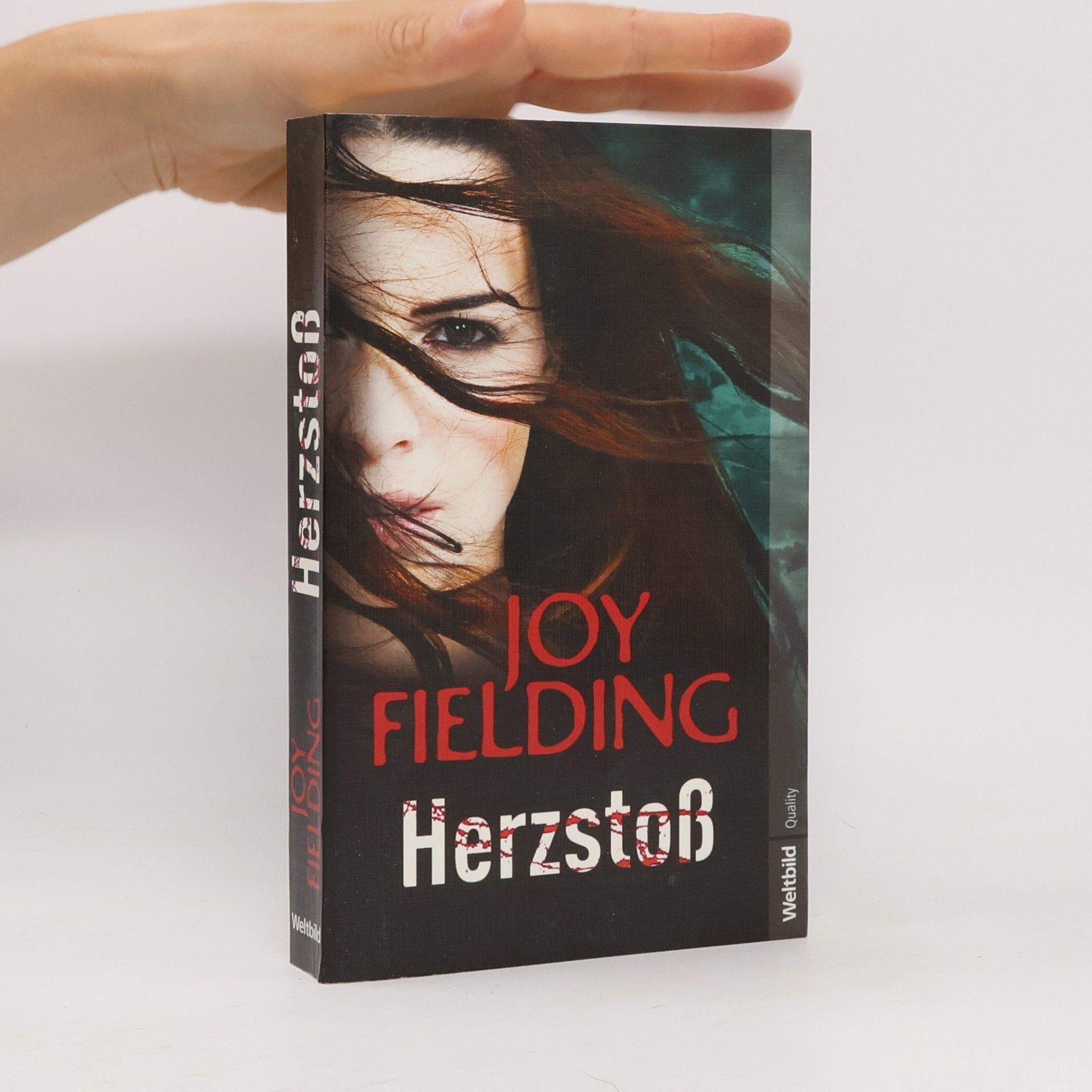 Joy Fielding Herzstoß