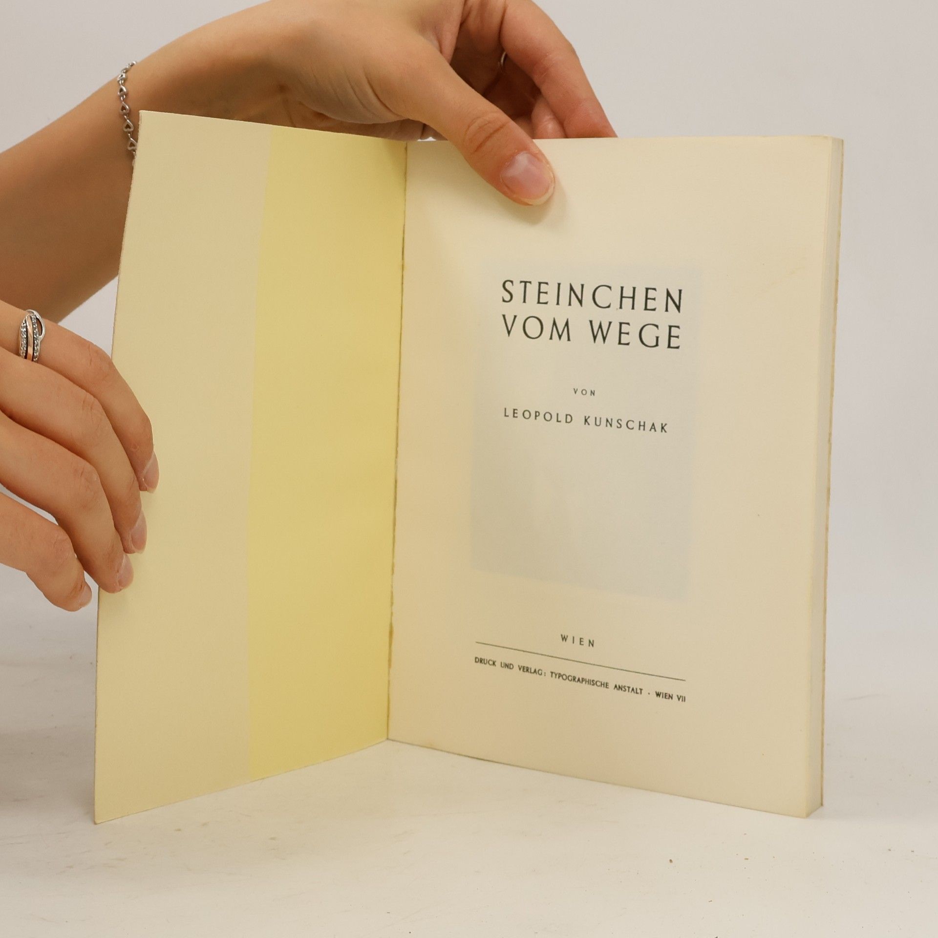 kolektiv Steinchen vom wege