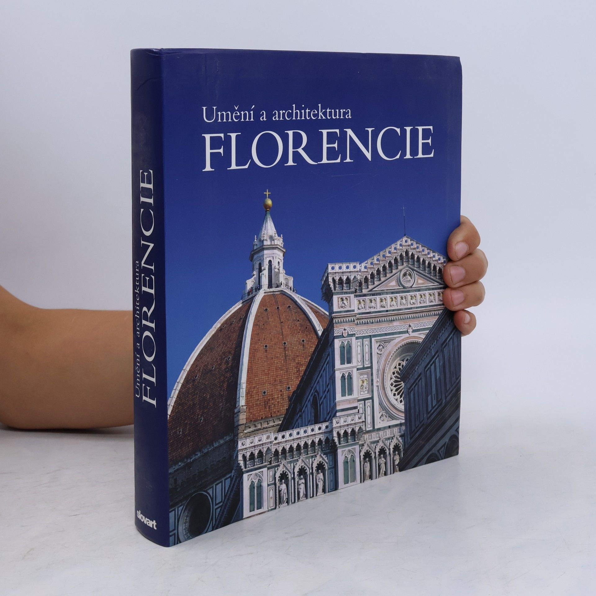 Silvestra Bietoletti Umění a architektura Florencie