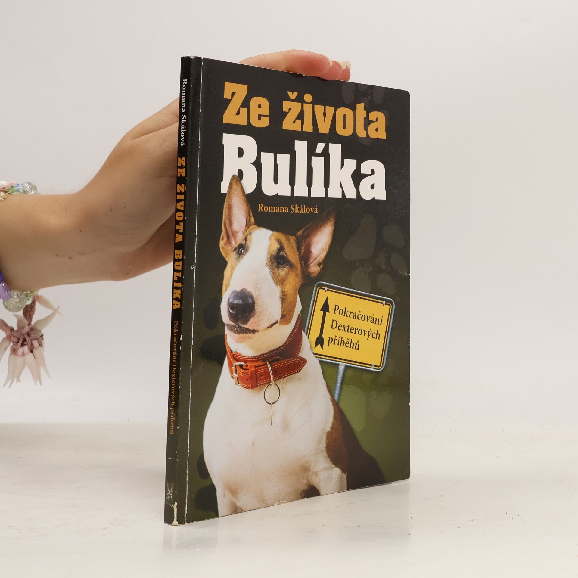 Romana Skálová Ze života Bulíka - Pokračování Dexterových příběhů