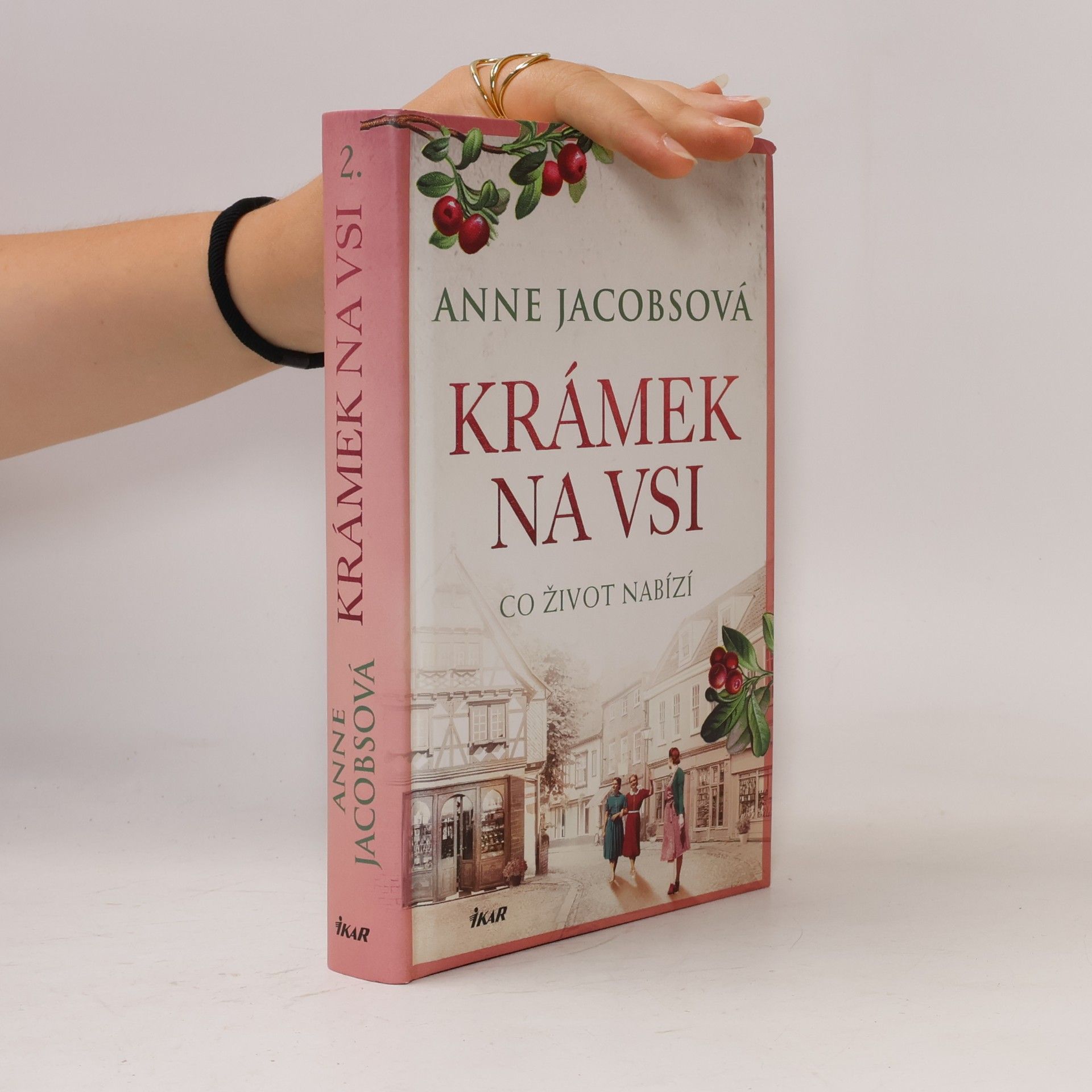Anne Jacobs Krámek na vsi