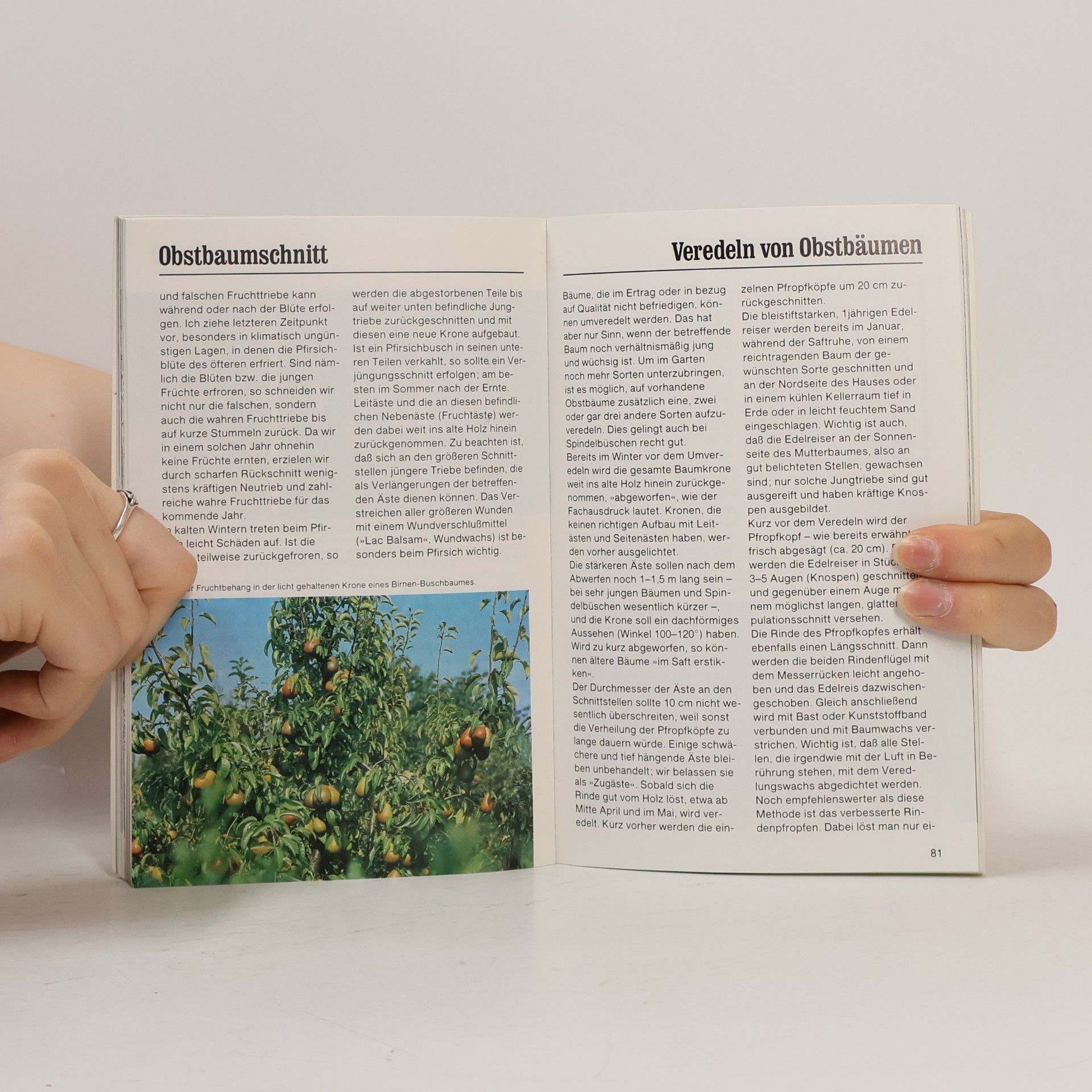 Martin Stangl Obst aus eigenem Garten
