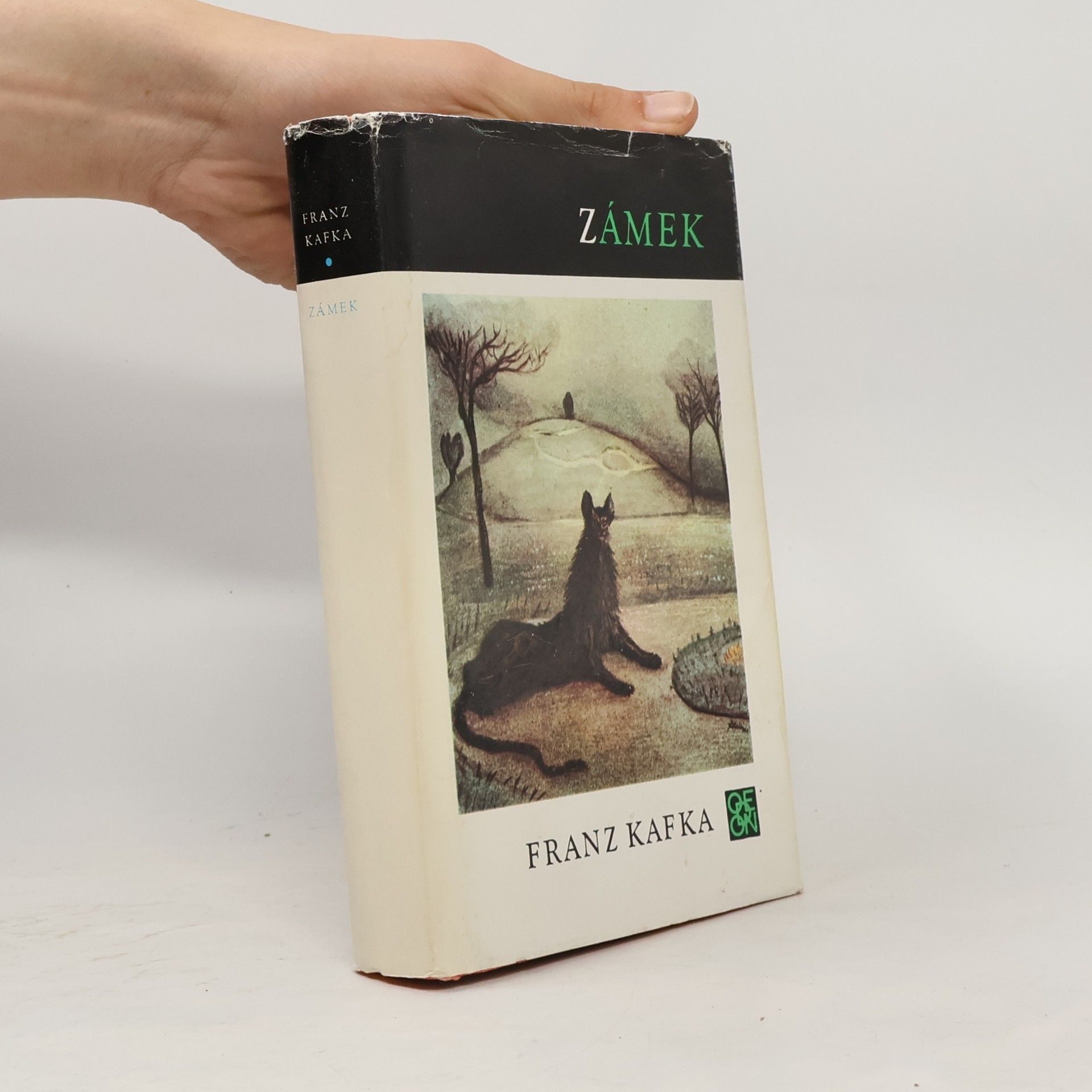 Franz Kafka Zámek