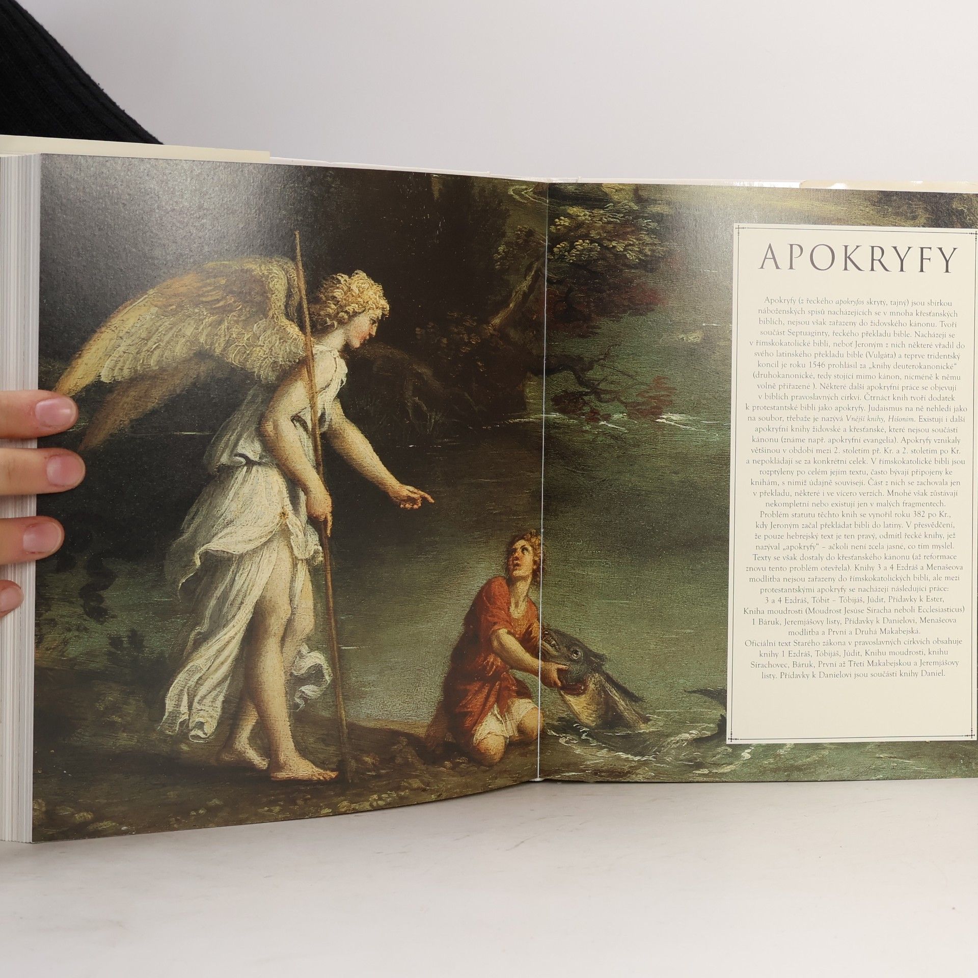 John Bowker Bible: Ilustrovaný průvodce Starým a Novým zákonem