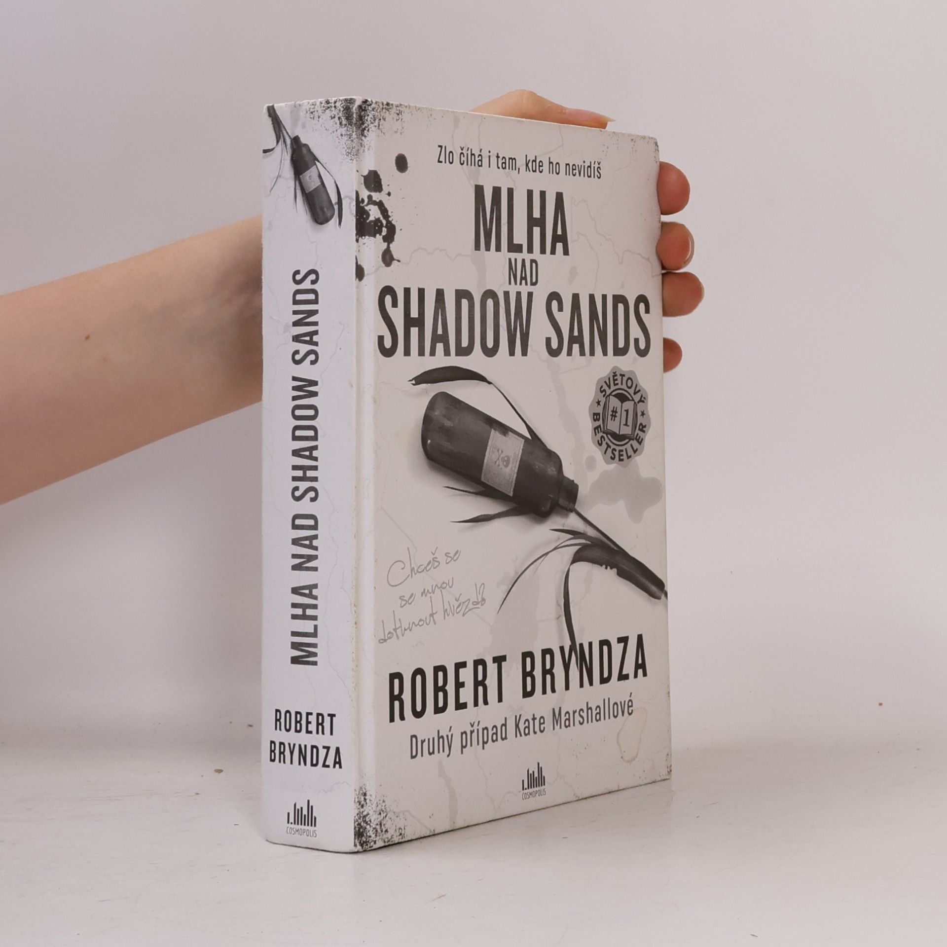 Robert Bryndza Mlha nad Shadow Sands