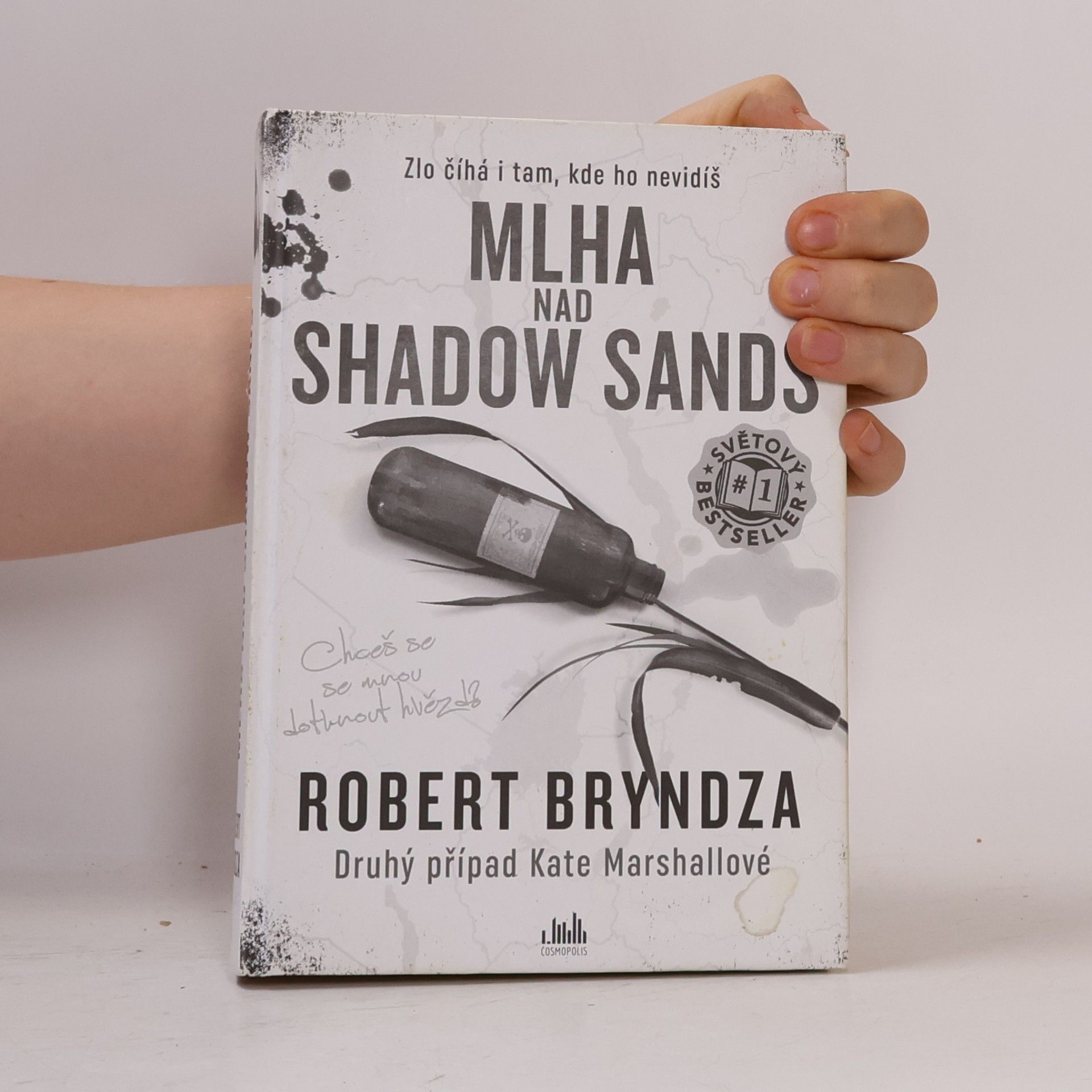 Robert Bryndza Mlha nad Shadow Sands