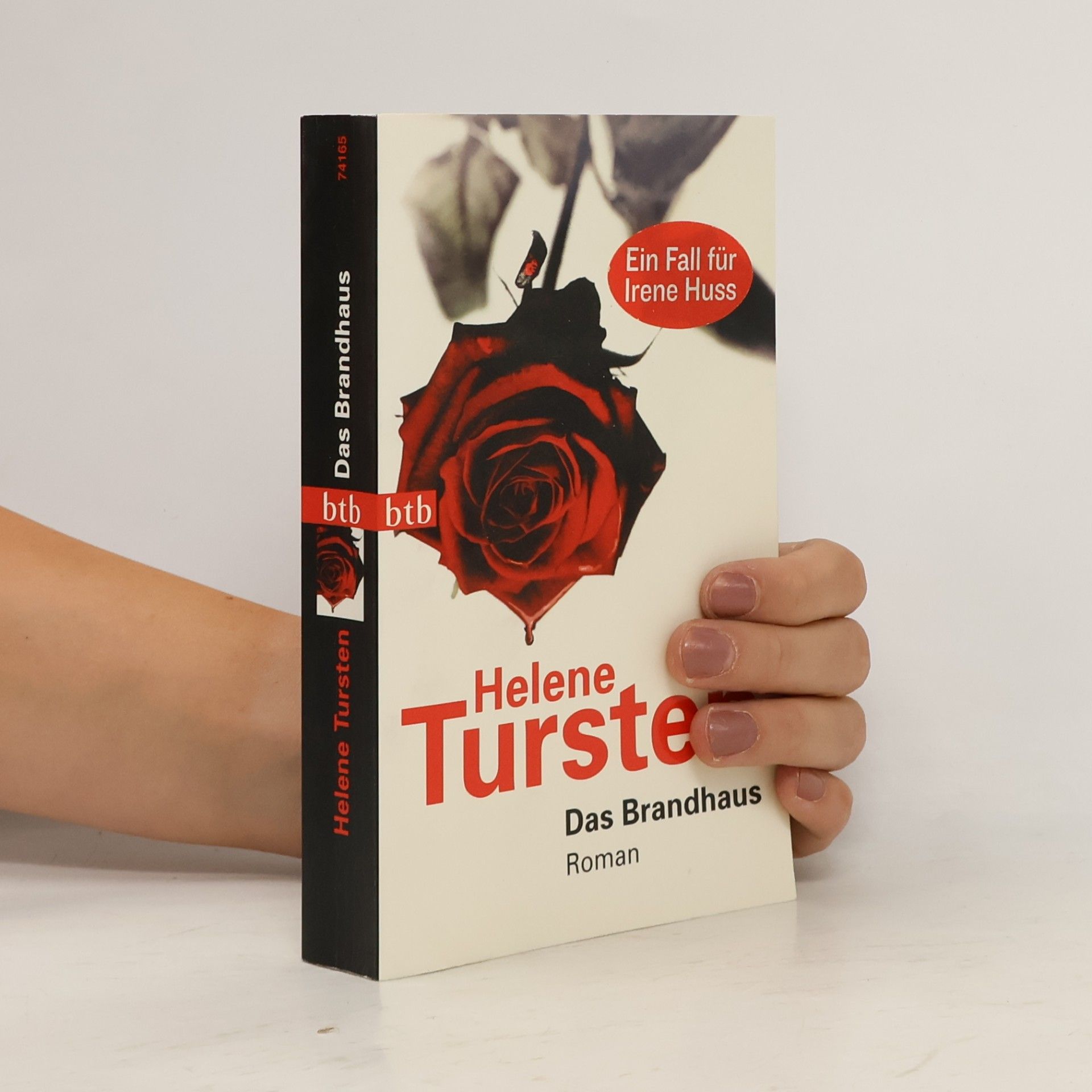Helene Tursten Das Brandhaus