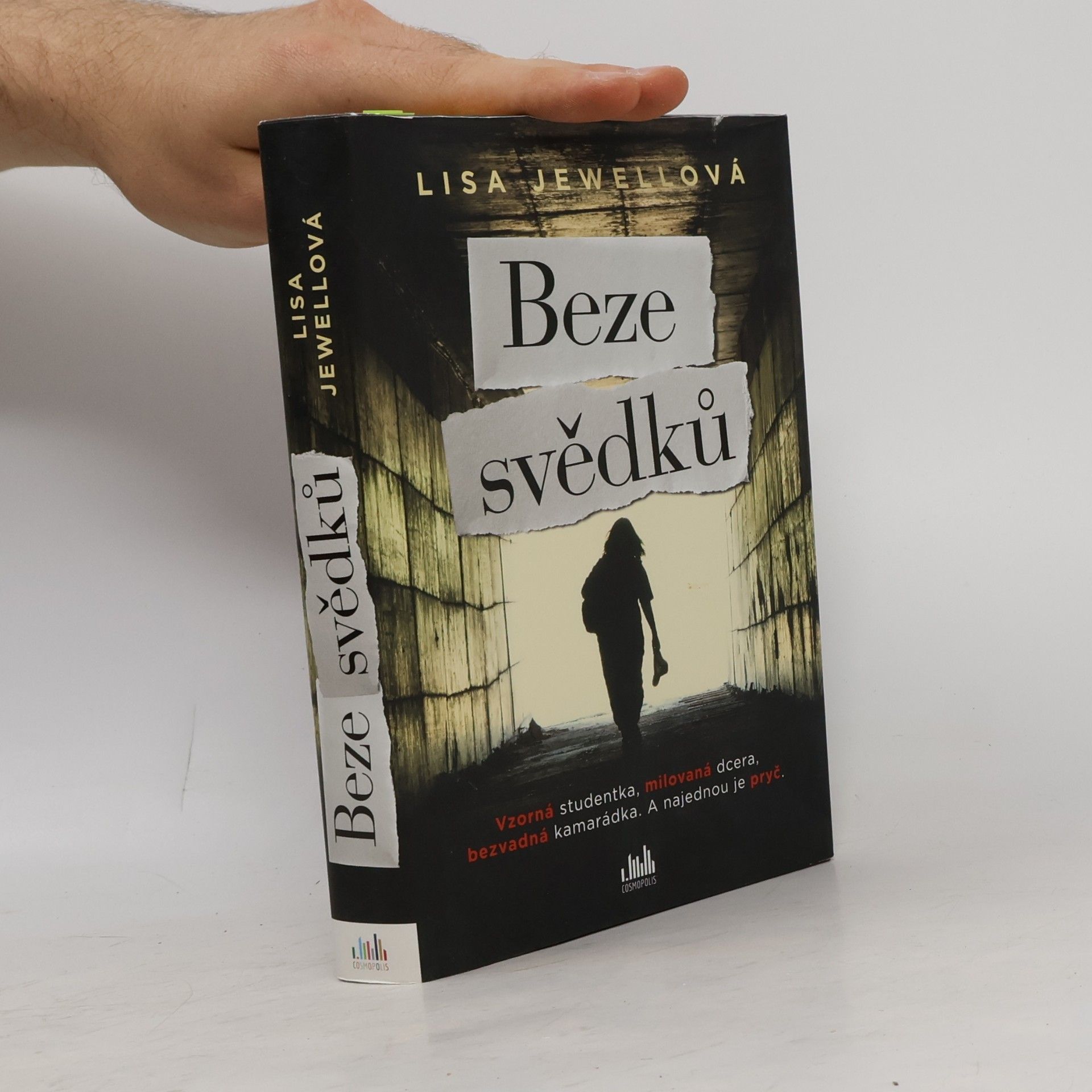 Lisa Jewell Beze svědků
