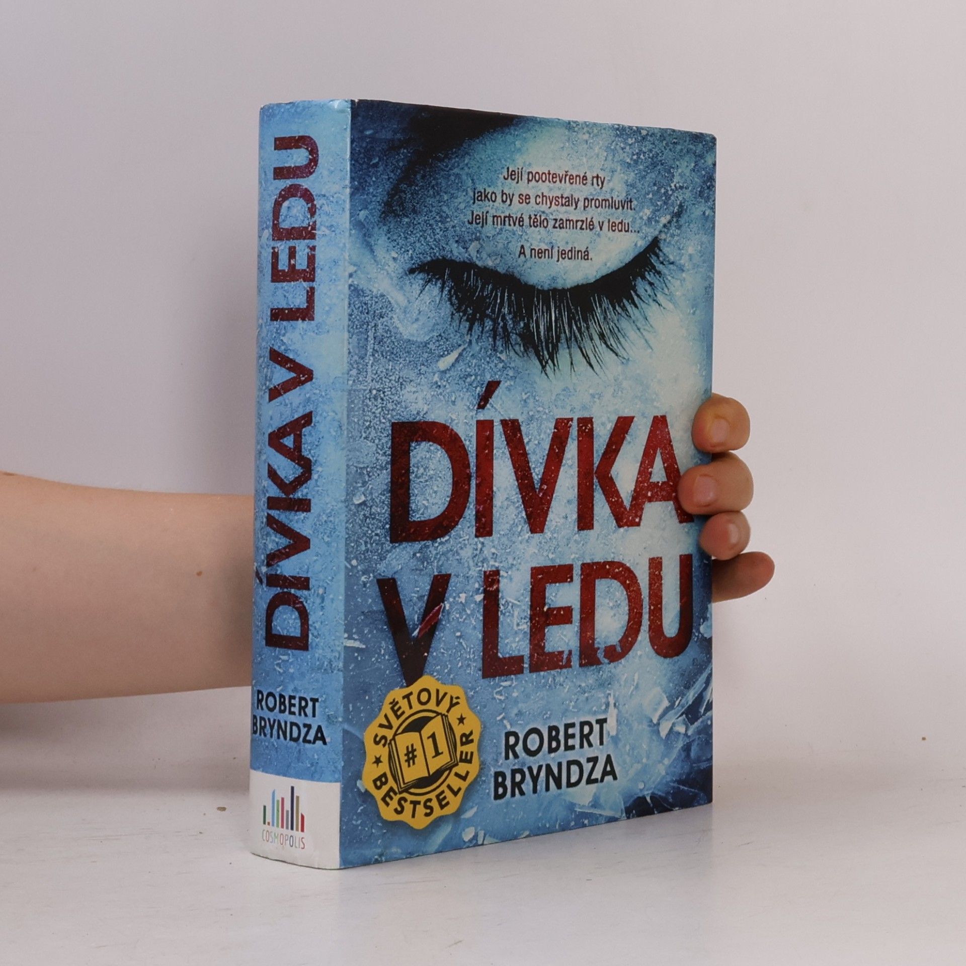 Robert Bryndza Dívka v ledu
