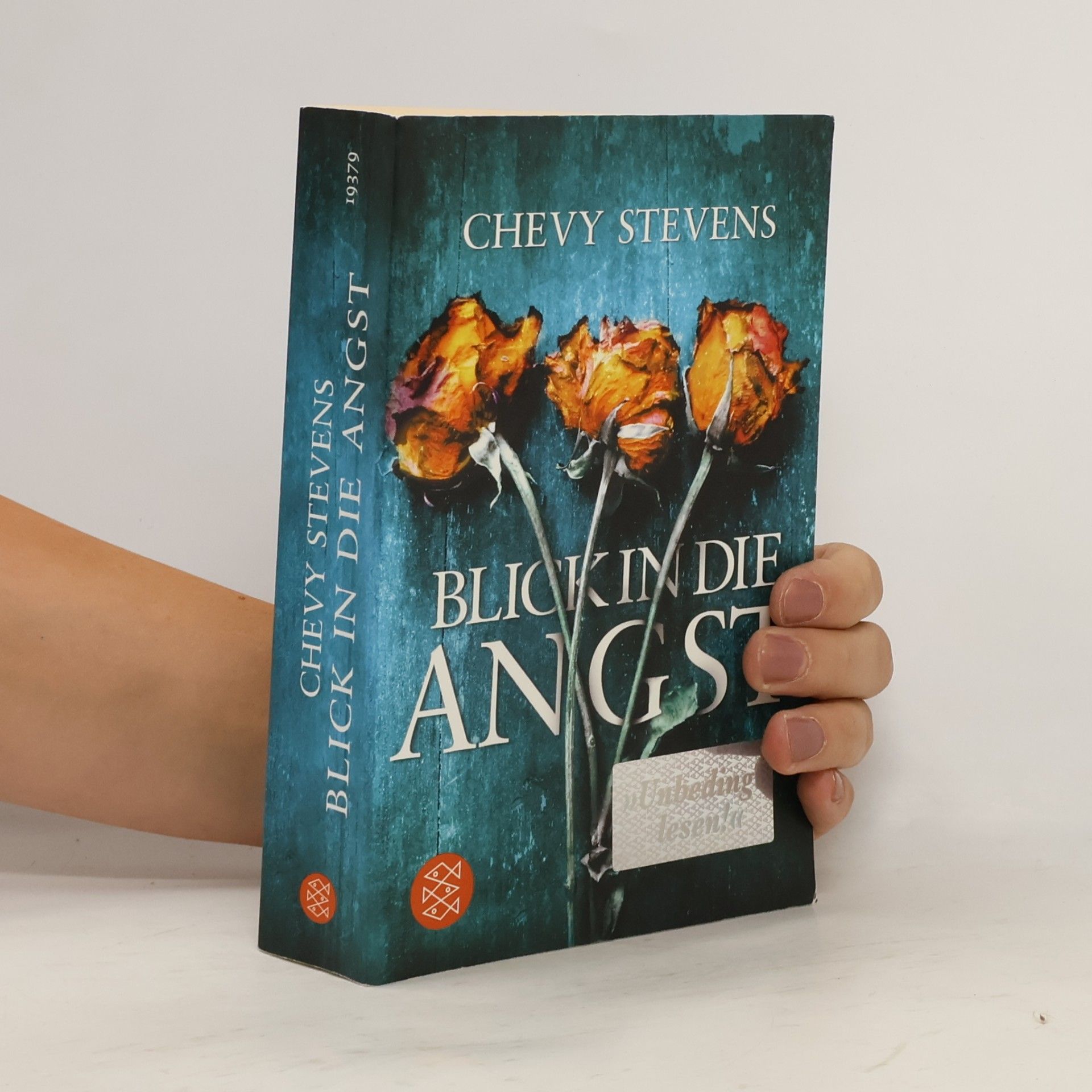 Chevy Stevens Blick in die Angst