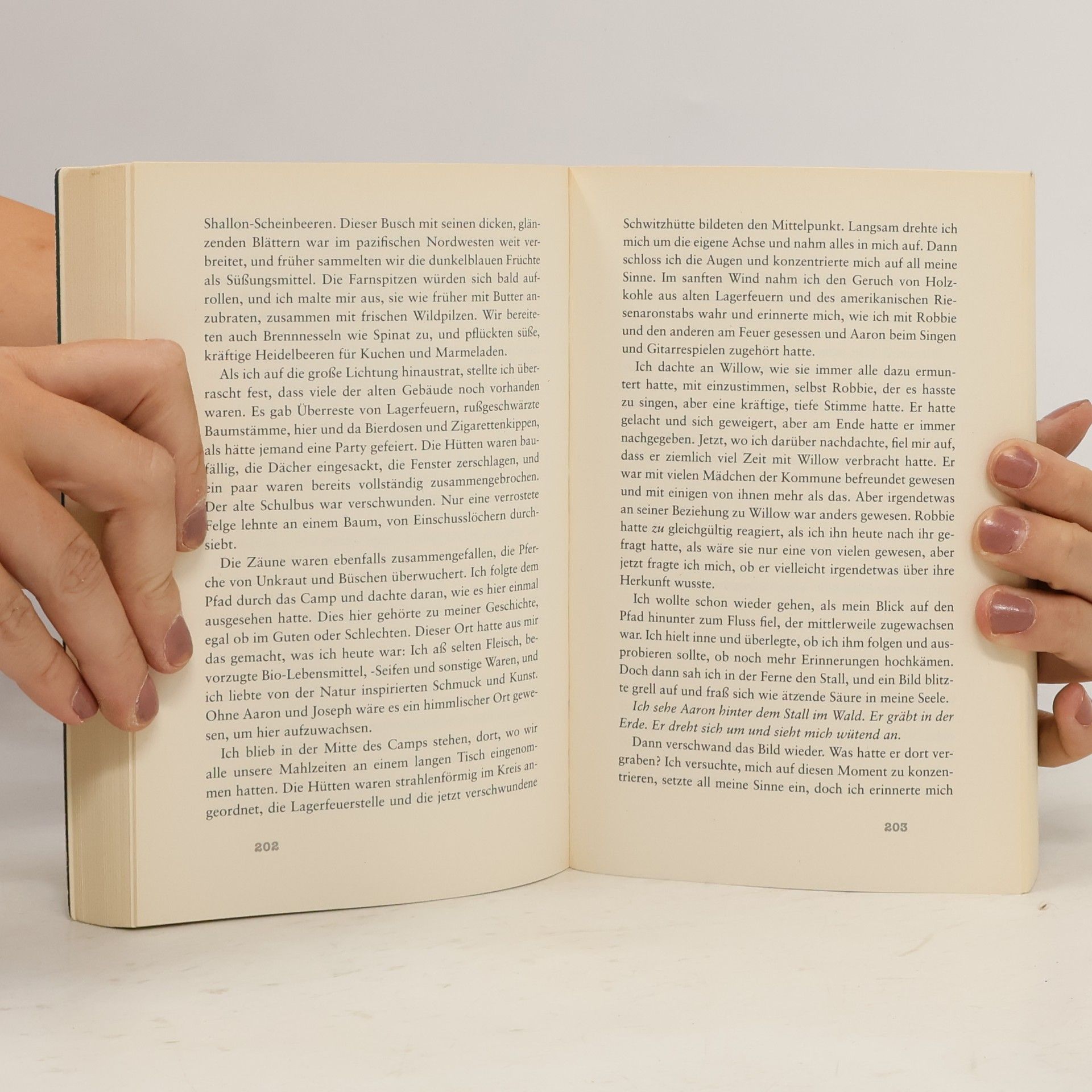 Chevy Stevens Blick in die Angst