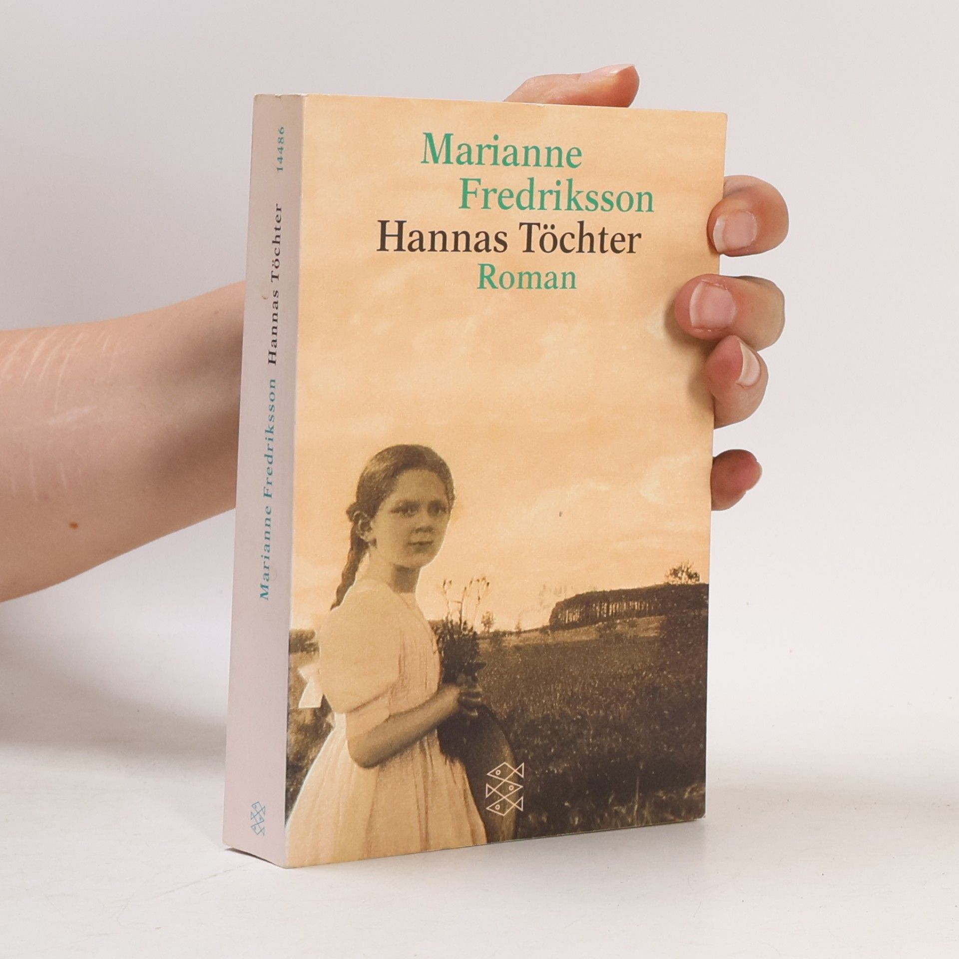 Marianne Fredriksson Hannas Töchter