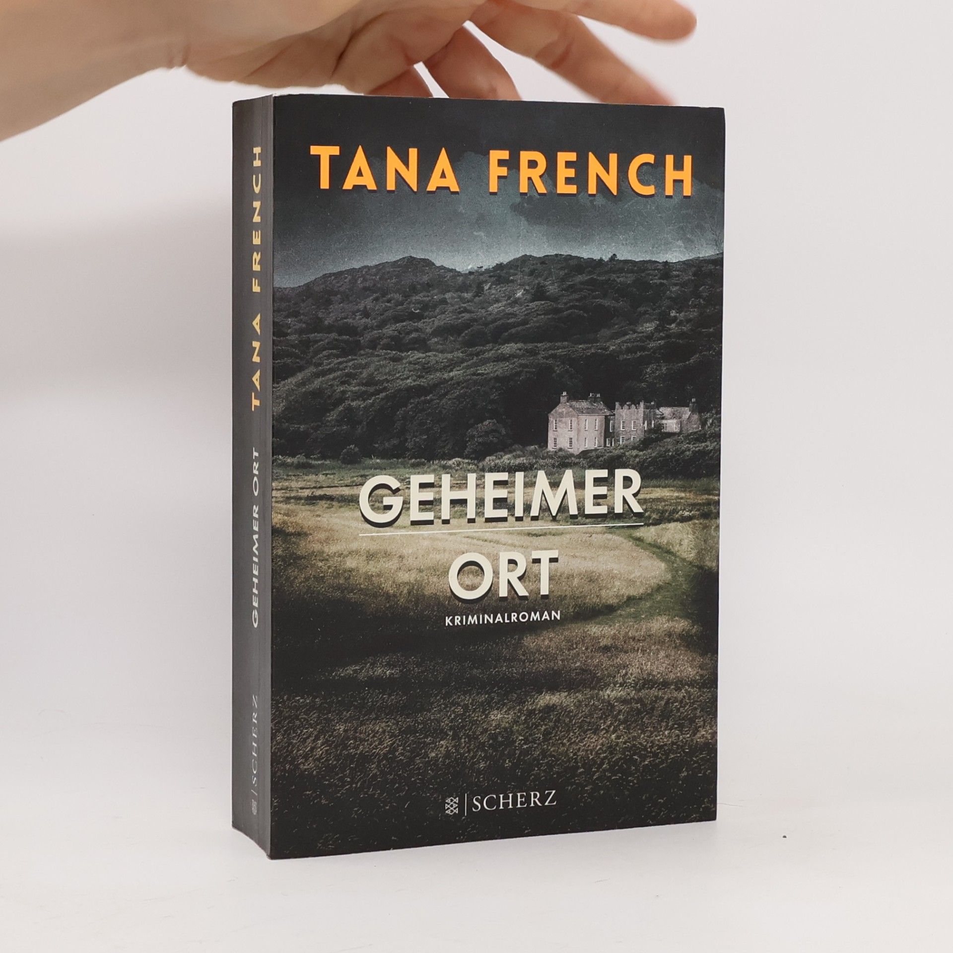 Tana French Geheimer Ort