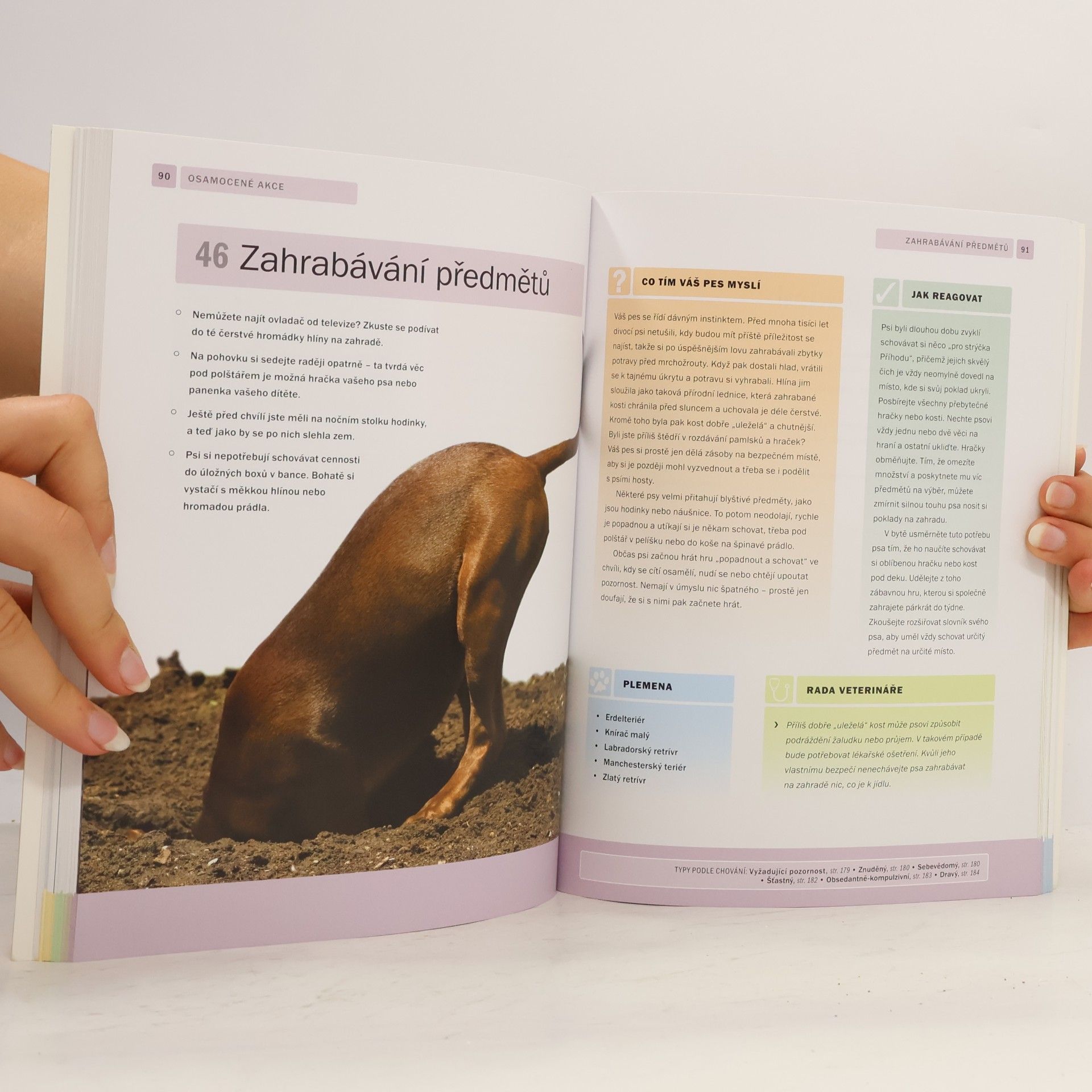 Arden Moore Jak to ten pes myslí? : vizuální průvodce "psí řečí"
