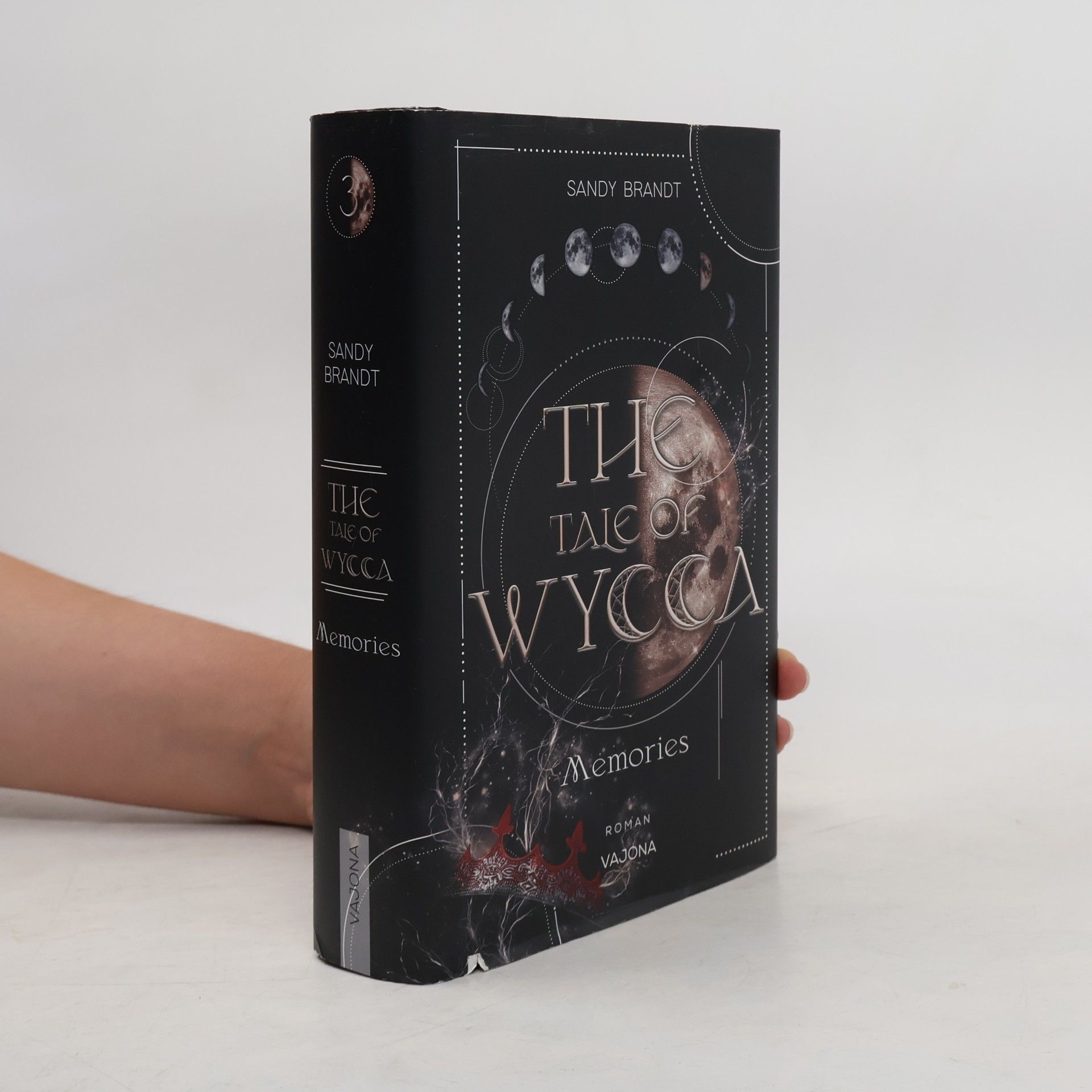 Sandy Brandt THE TALE OF WYCCA: Memories (WYCCA-Reihe 3)